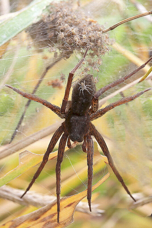 Valokuvaaja: Hannu Rasiranta Valokuvaaja: Hannu Rasiranta