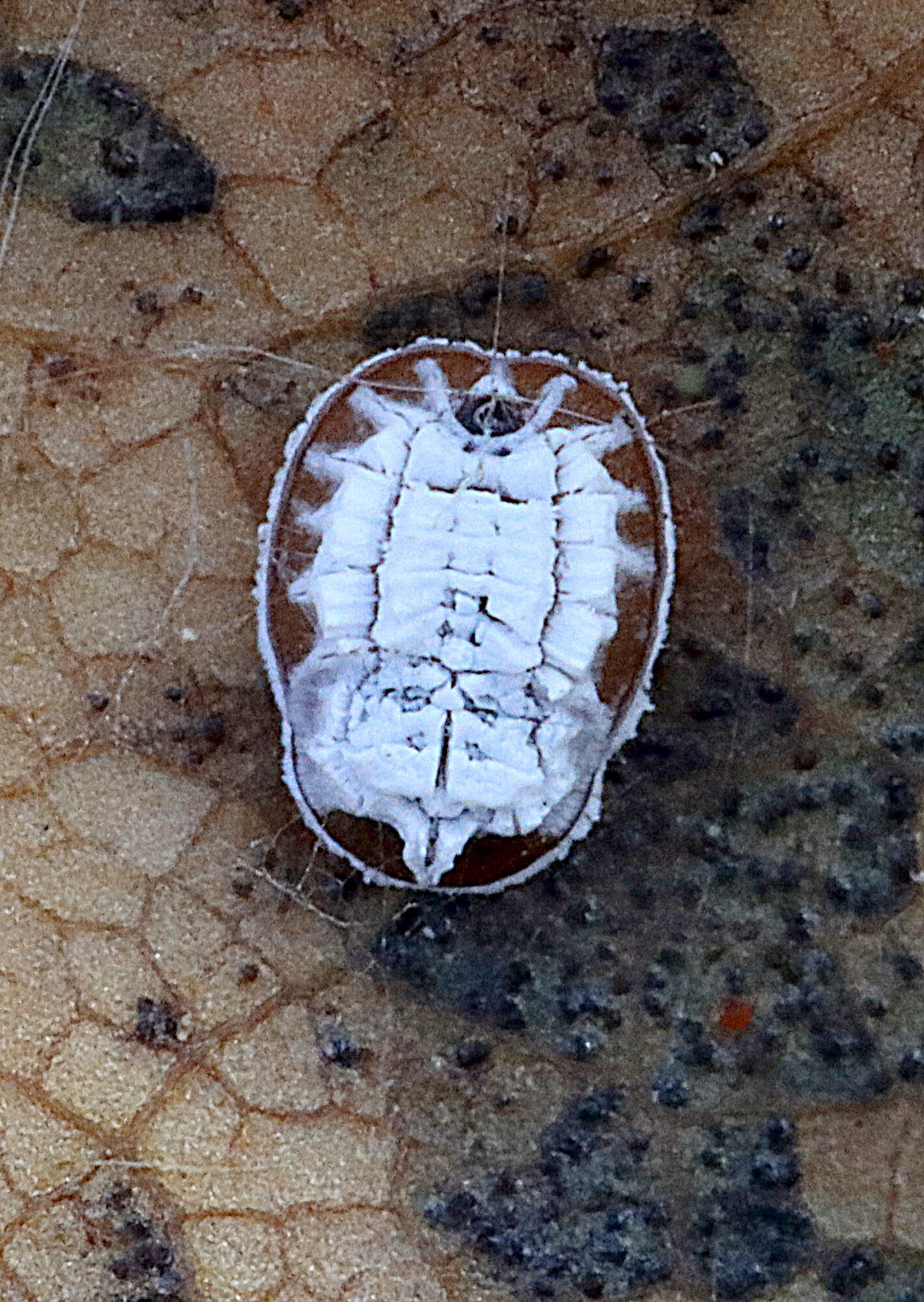 Valokuvaaja: Hannu Rasiranta