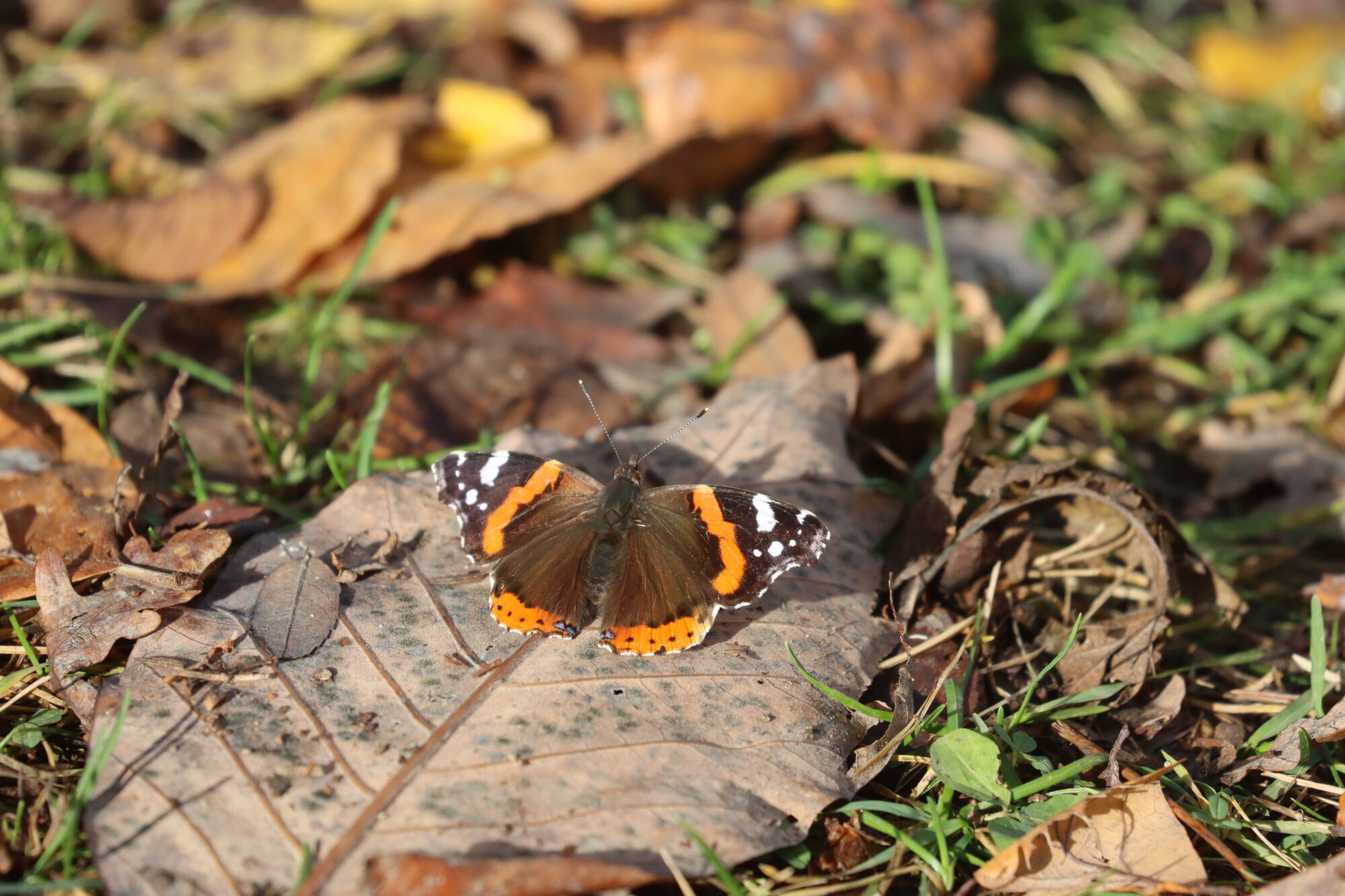 Valokuvaaja: Susanna Hannula