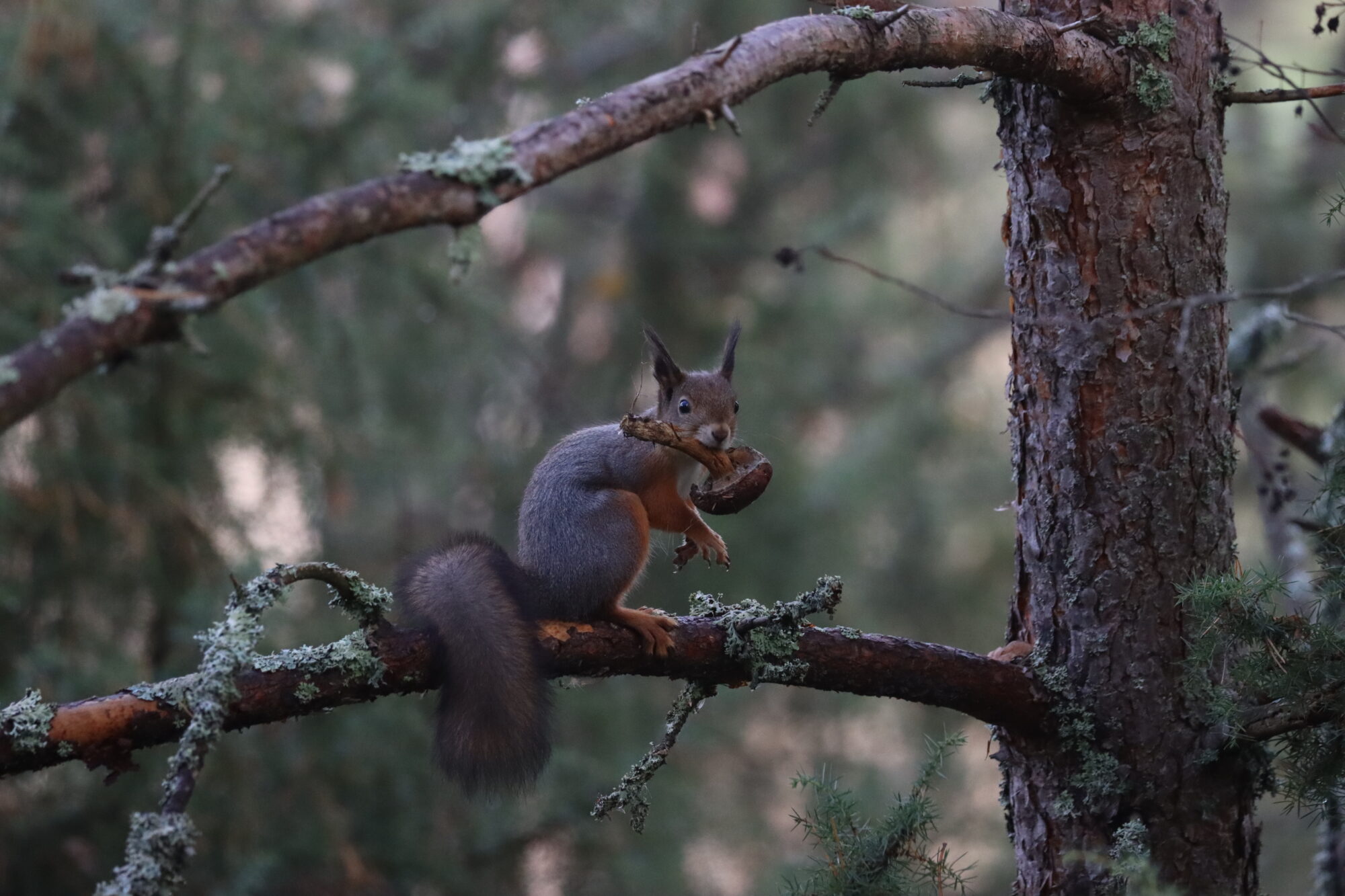 Valokuvaaja: Susanna Hannula Valokuvaaja: Susanna Hannula