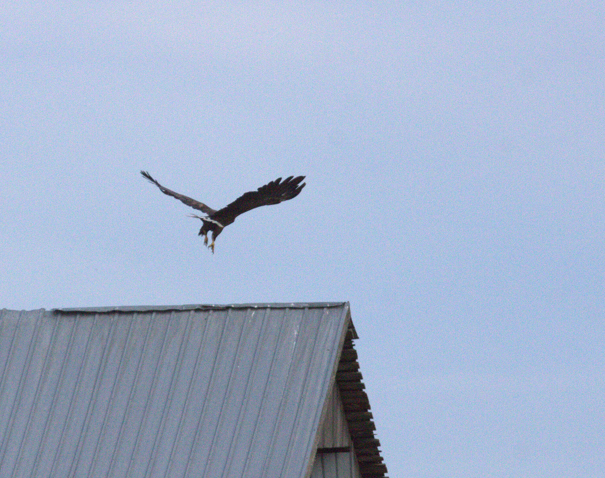Valokuvaaja: Tapio Keinonen