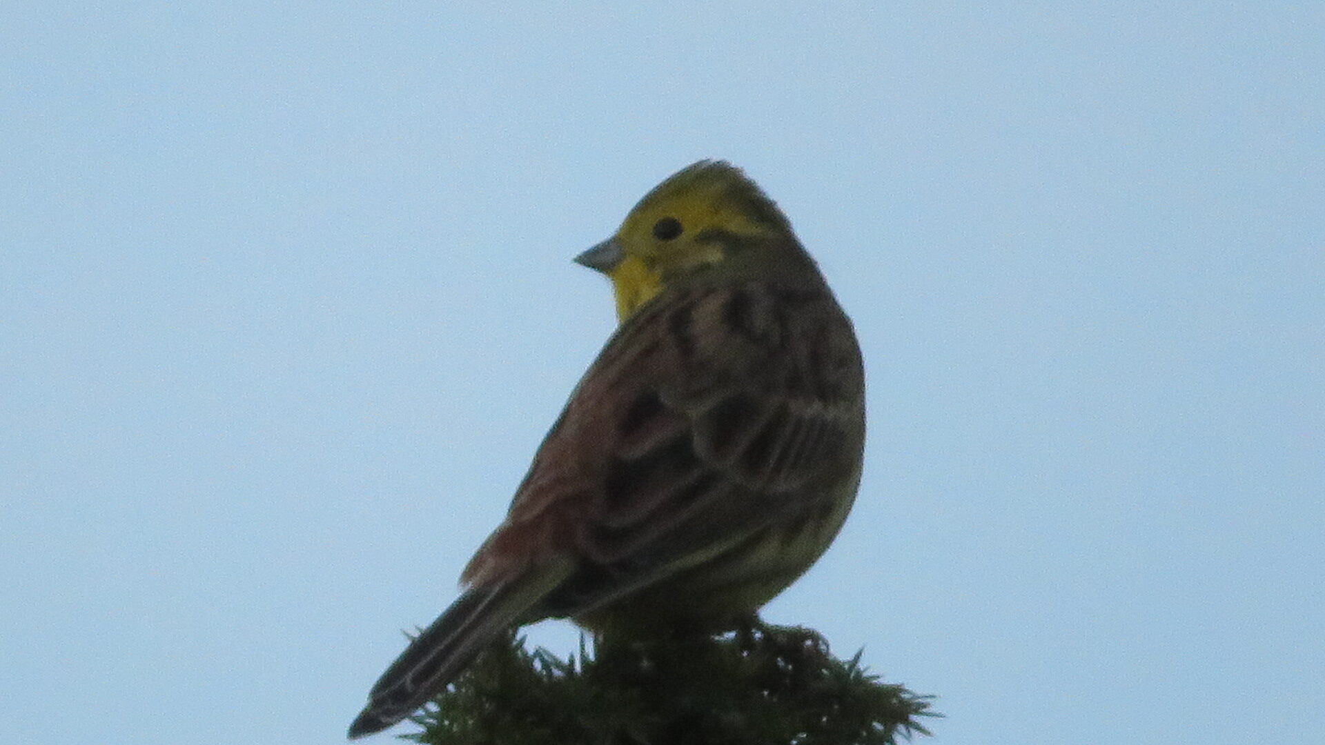 Valokuvaaja: Risto Kangassalo Valokuvaaja: Risto Kangassalo