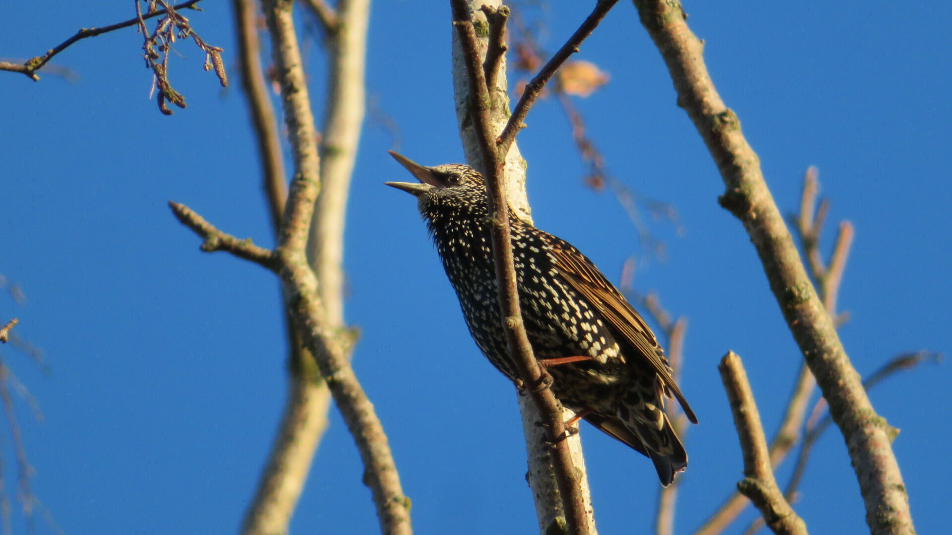 Valokuvaaja: Risto Kangassalo