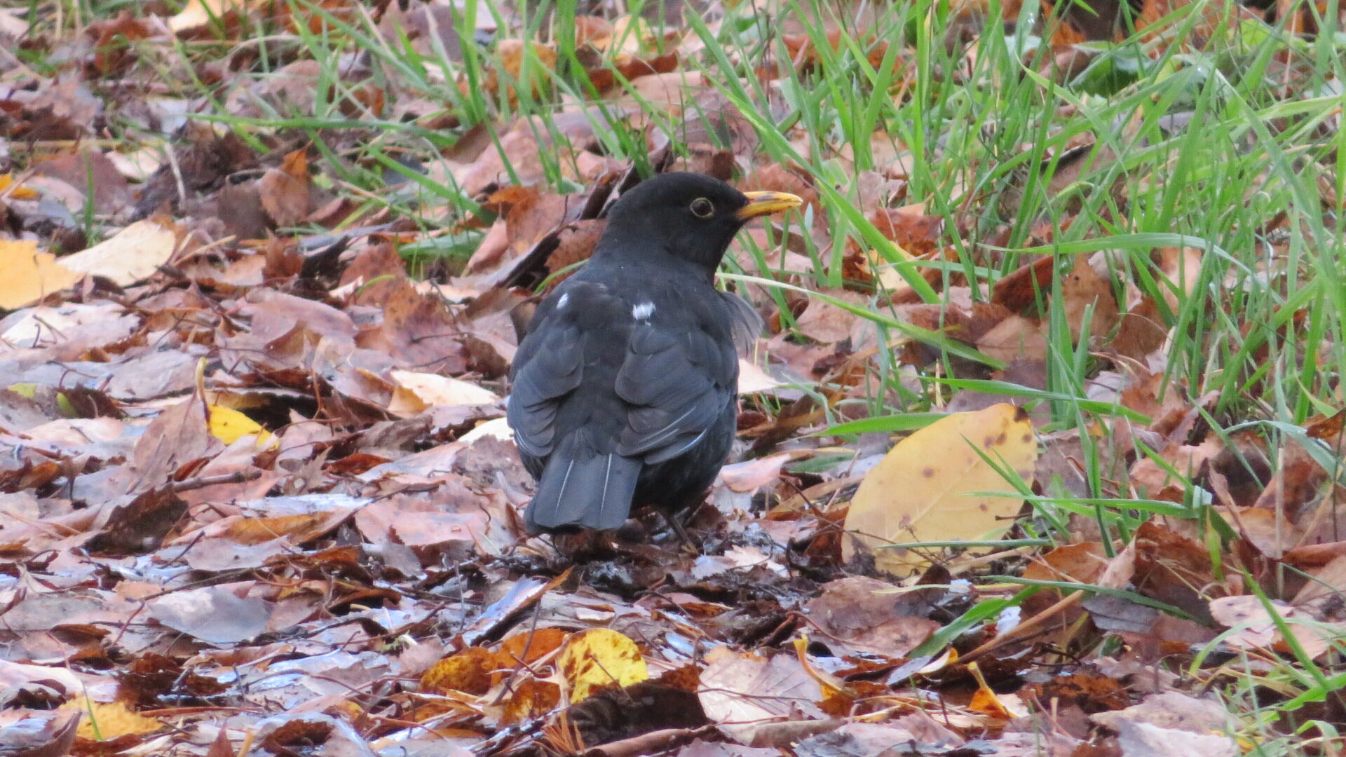 Valokuvaaja: Risto Kangassalo