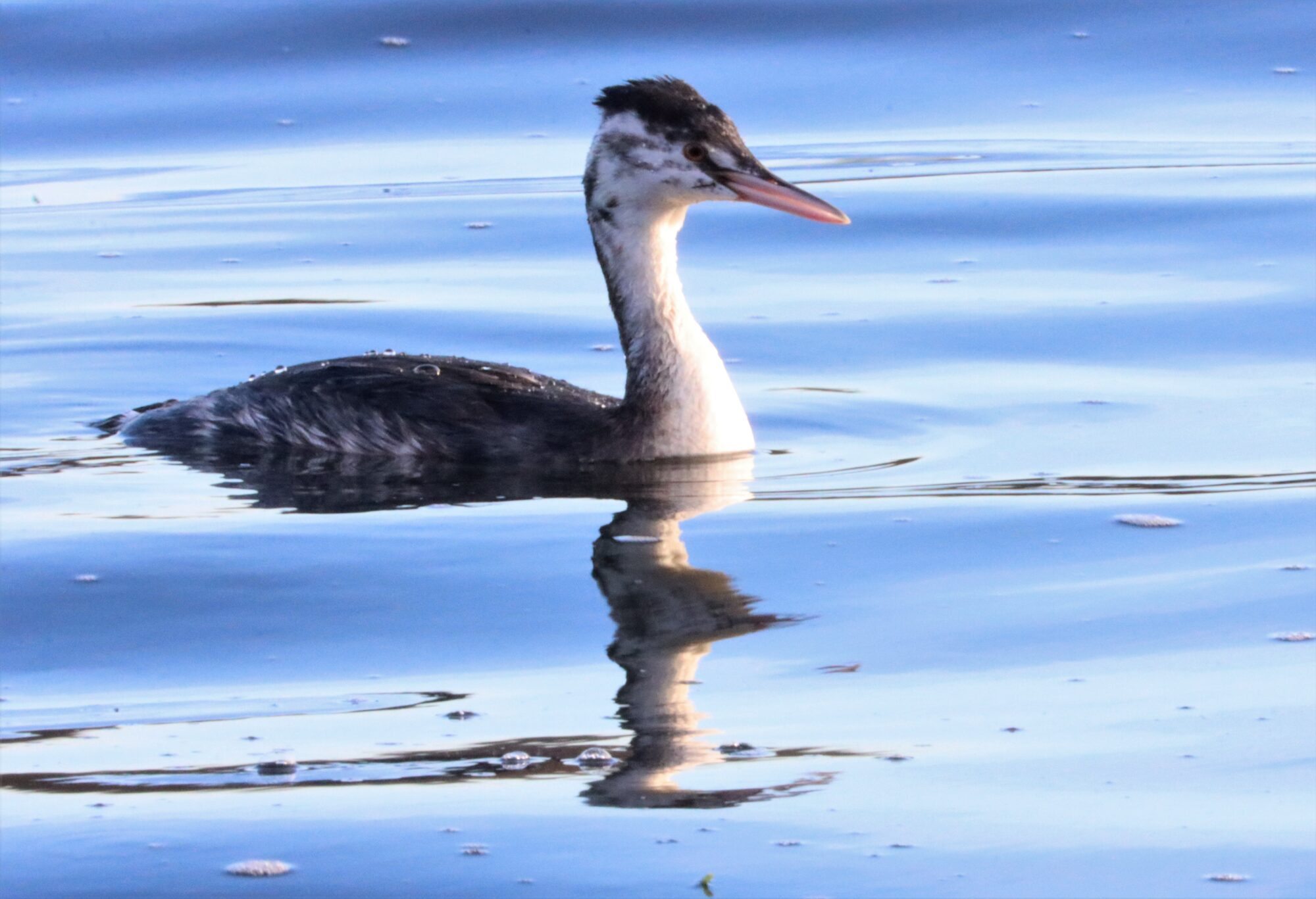 Valokuvaaja: Irja Lehtinen
