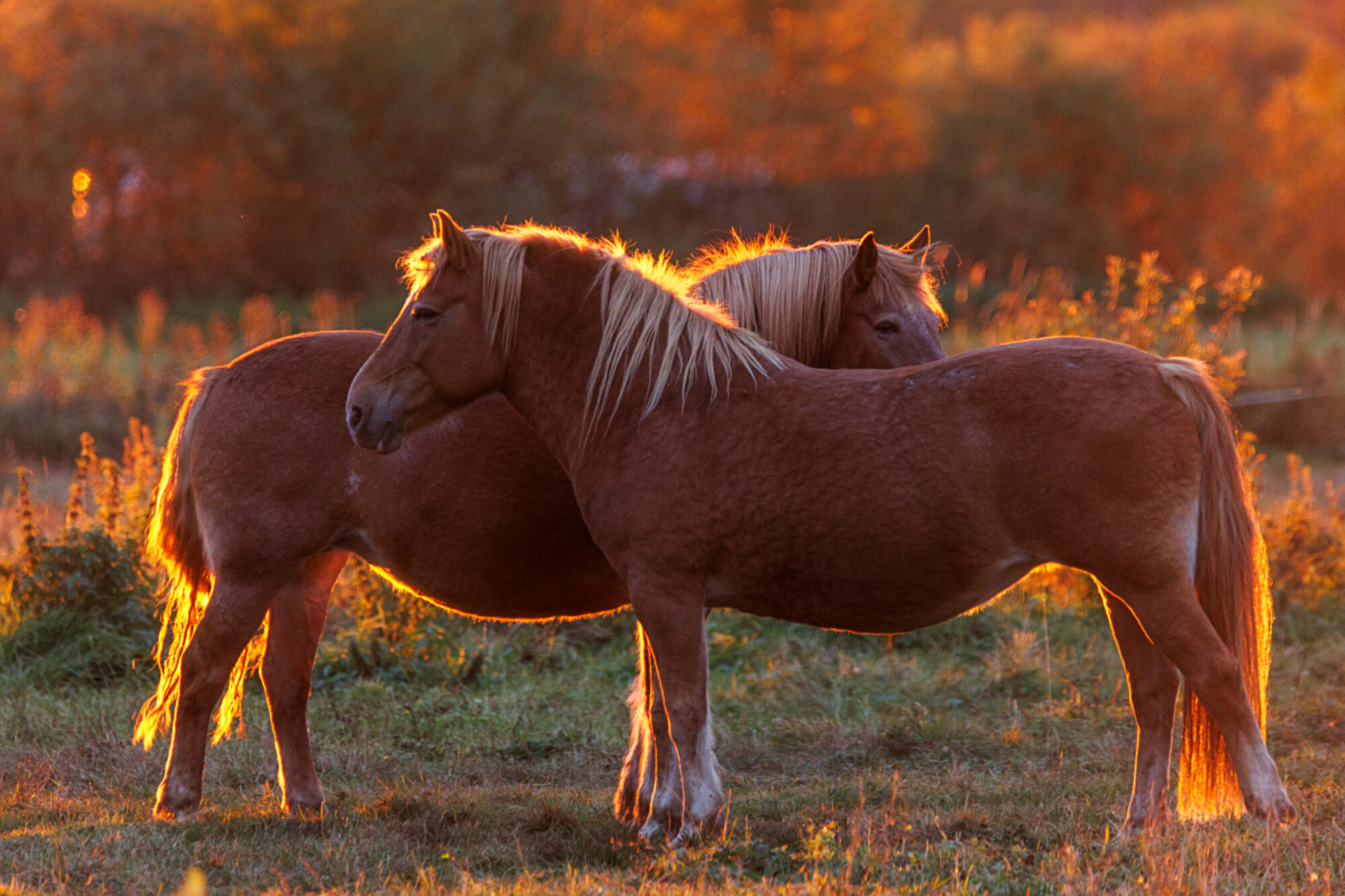 Valokuvaaja: Tommi Kujala