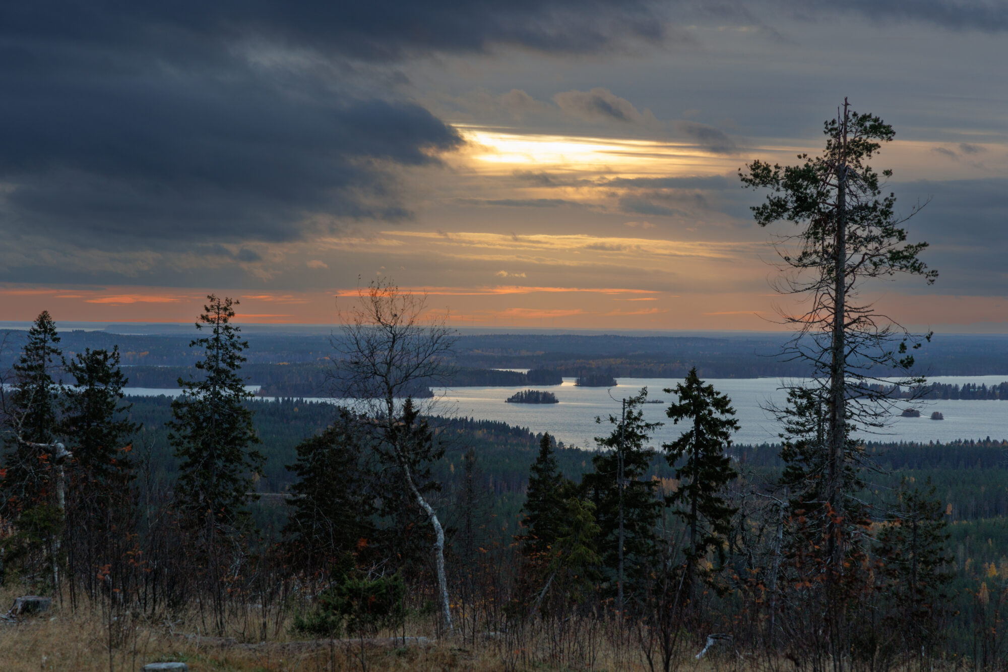 Valokuvaaja: Tommi Kujala