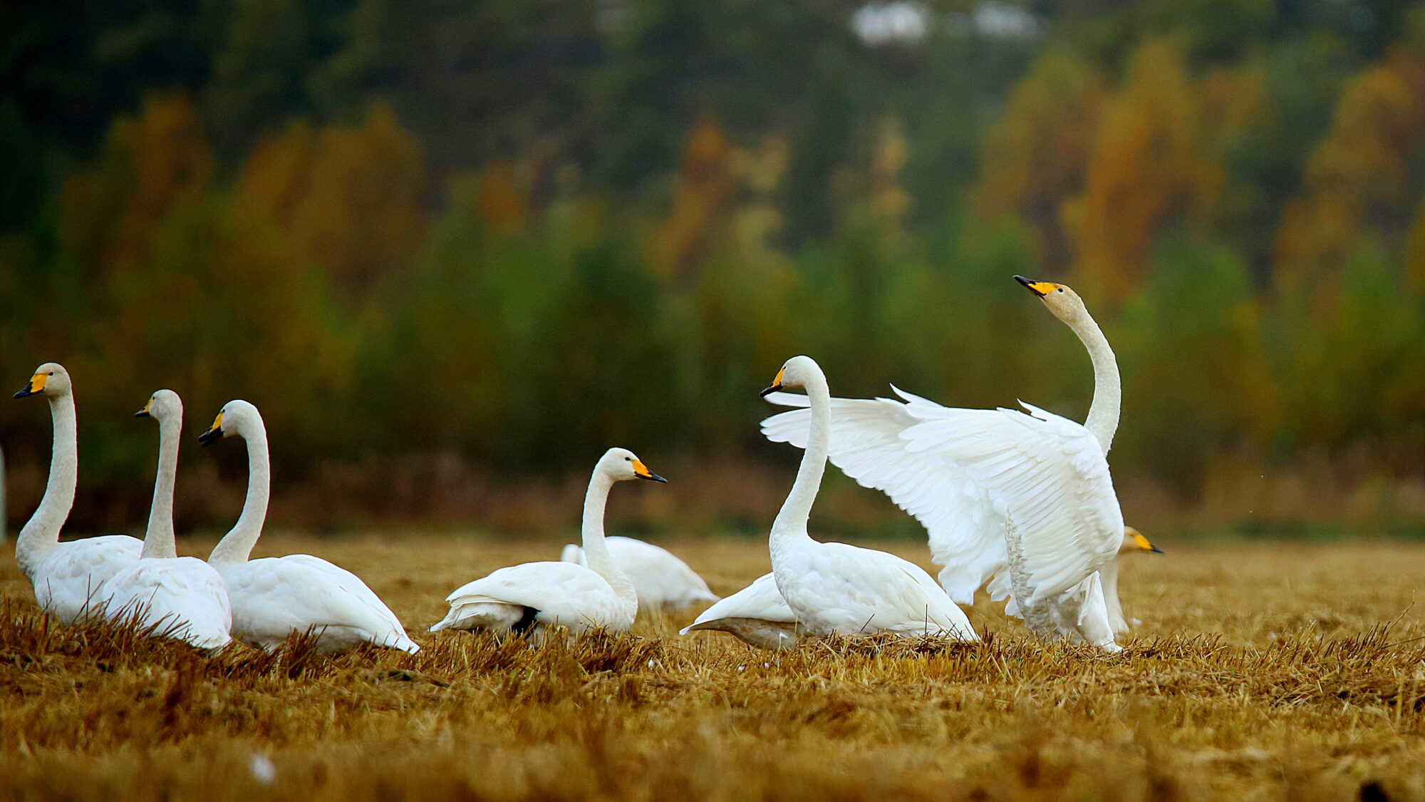 Valokuvaaja: sirpa Jyske Valokuvaaja: sirpa Jyske