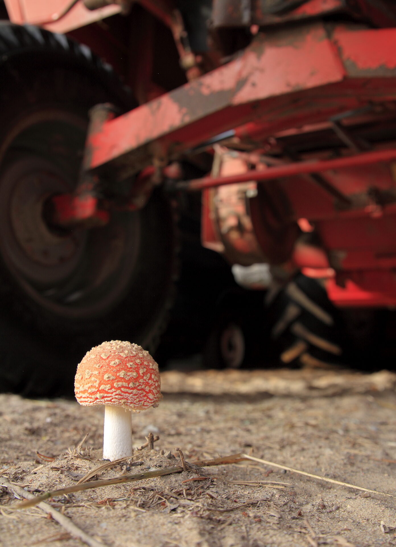 Valokuvaaja: Lasse Kokko