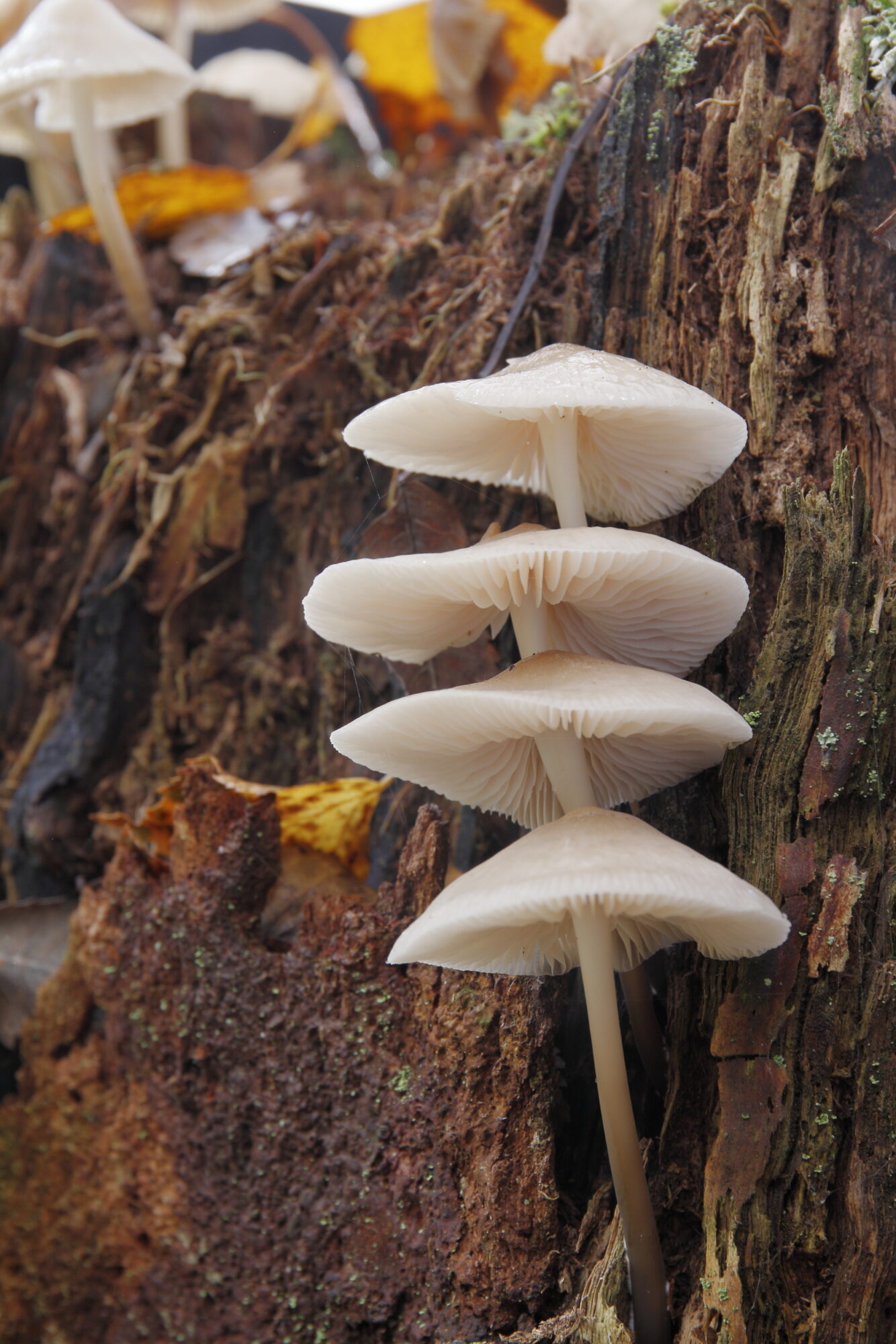 Valokuvaaja: Lasse Kokko Valokuvaaja: Lasse Kokko