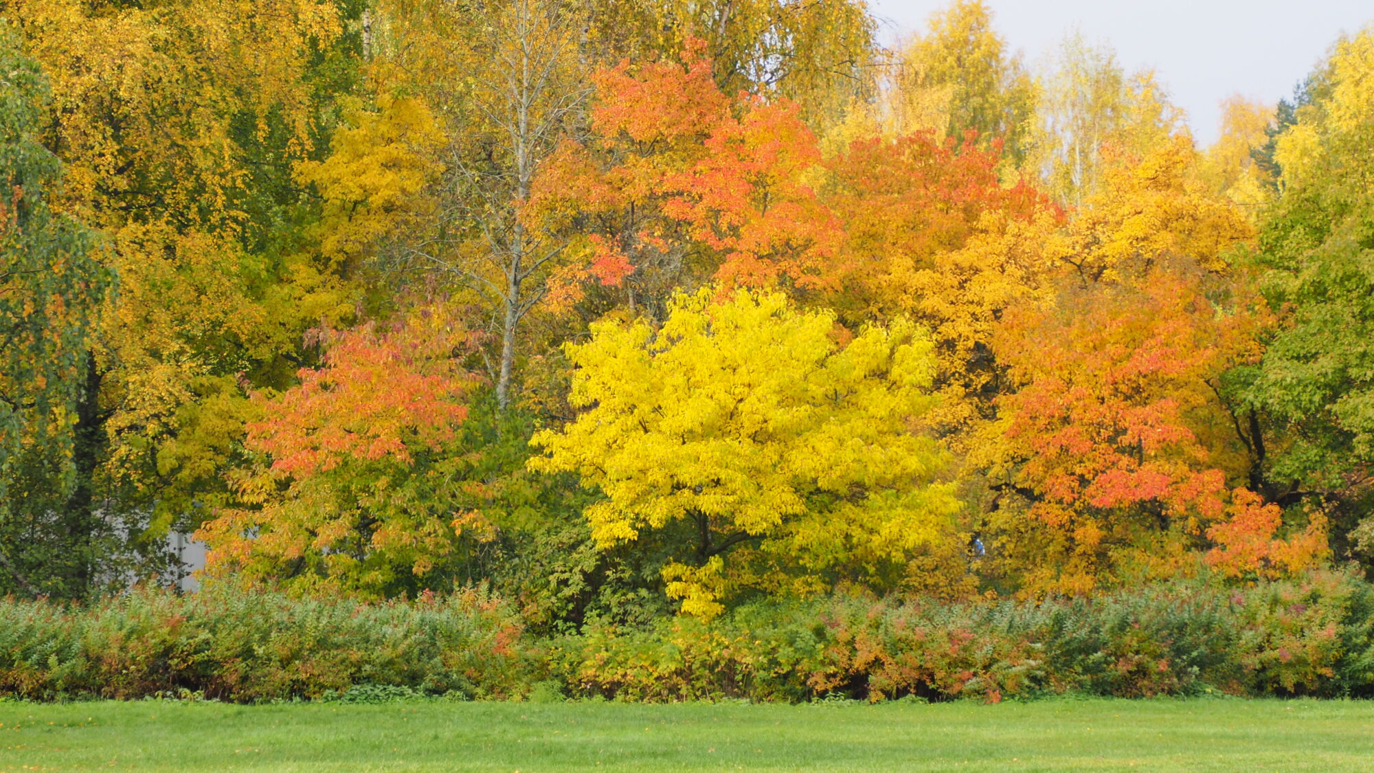 Valokuvaaja: Martti Valtonen
