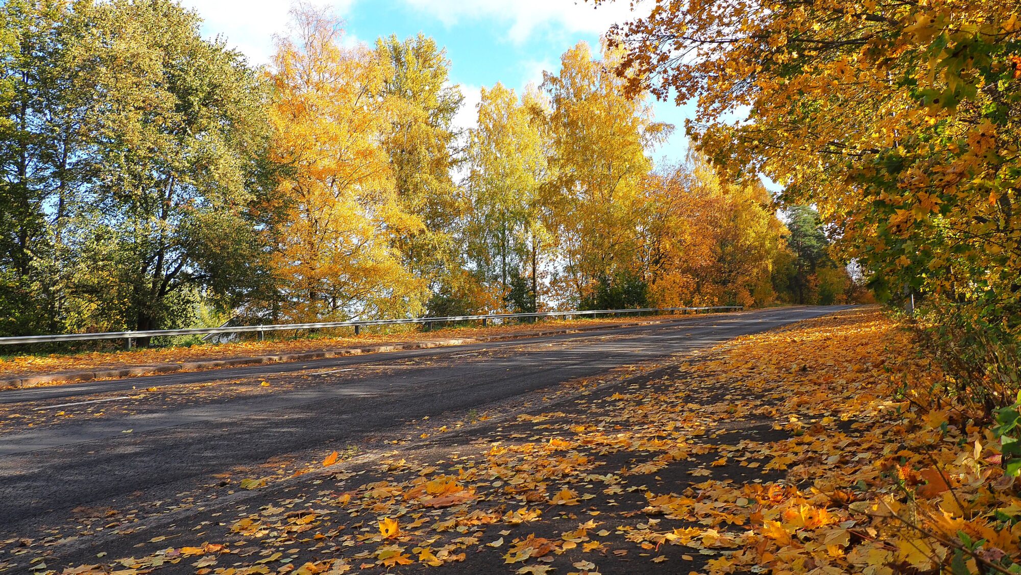 Valokuvaaja: Arja Valtonen