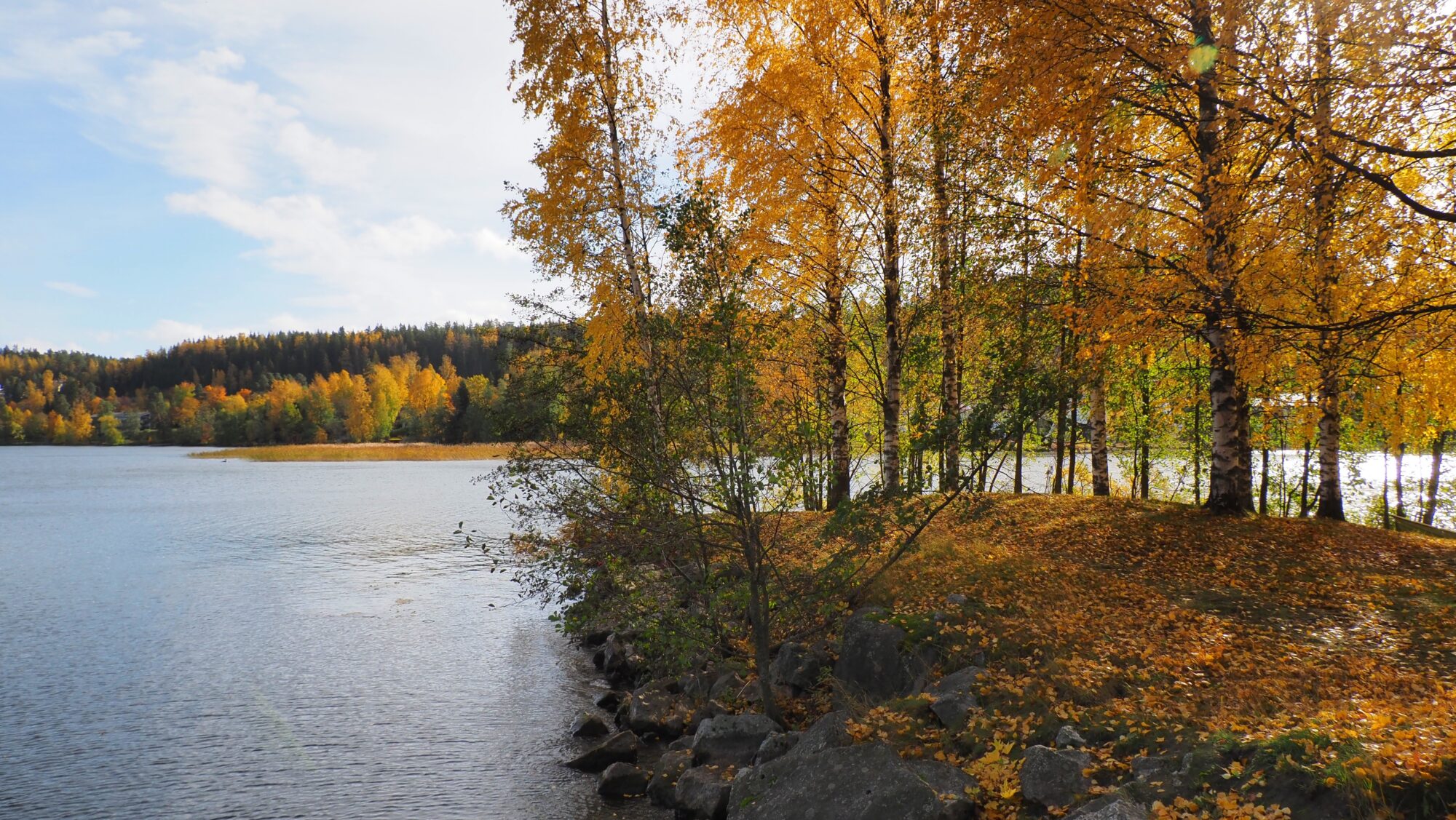 Valokuvaaja: Arja Valtonen Valokuvaaja: Arja Valtonen