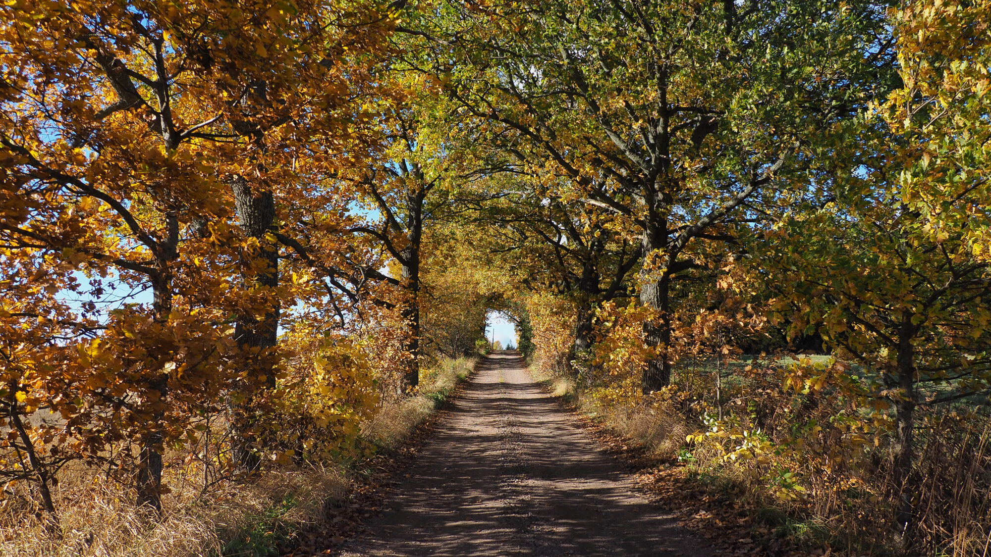Valokuvaaja: Martti Valtonen