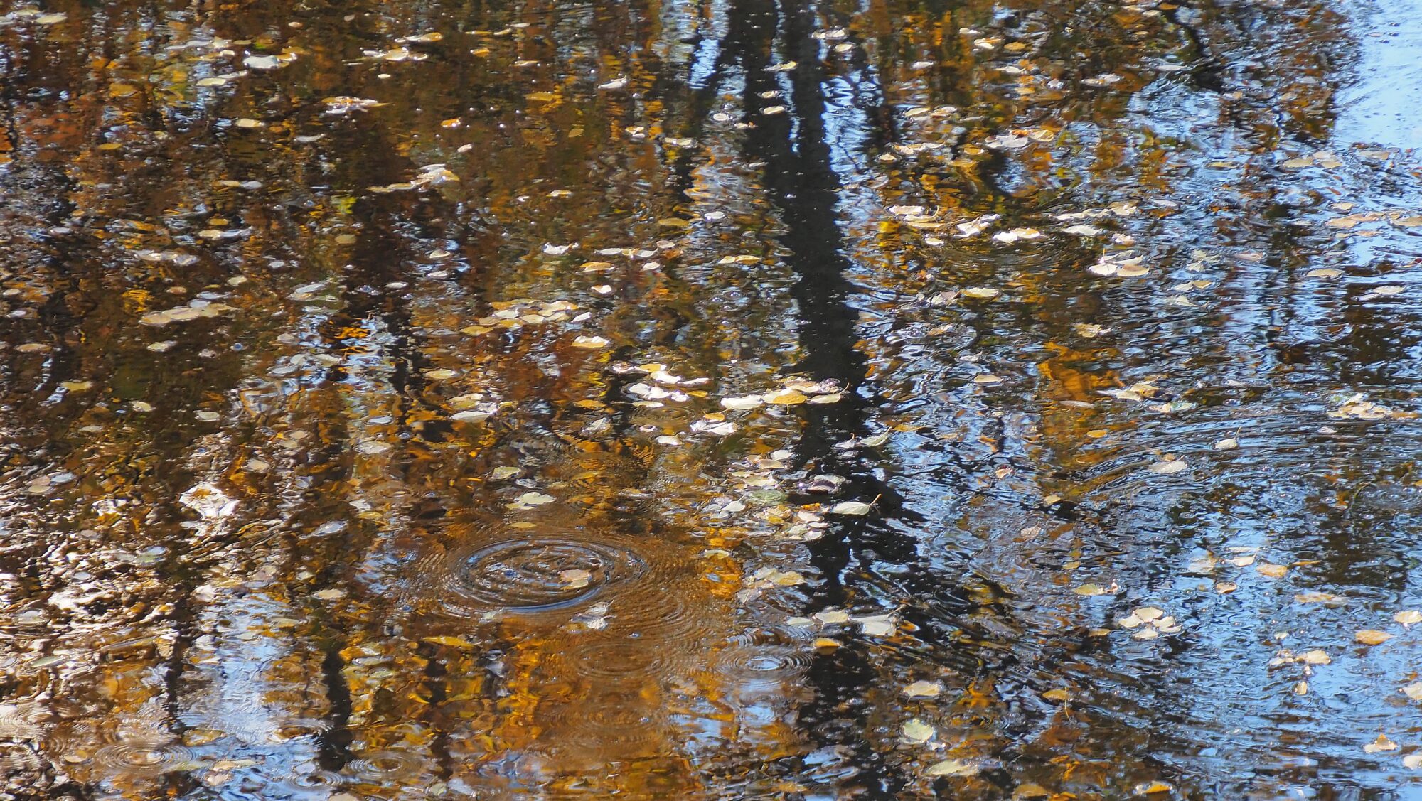 Valokuvaaja: Arja Valtonen