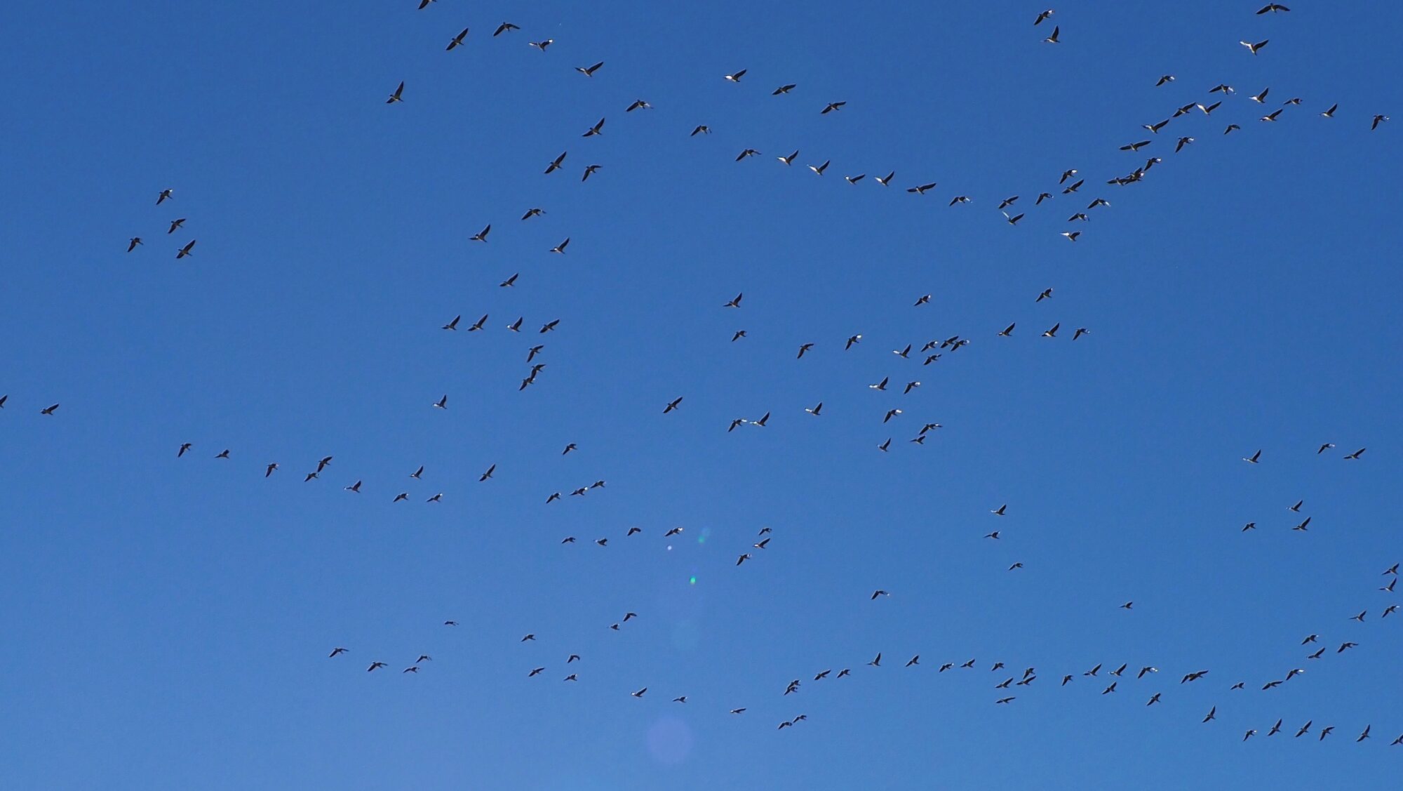 Valokuvaaja: Arja Valtonen