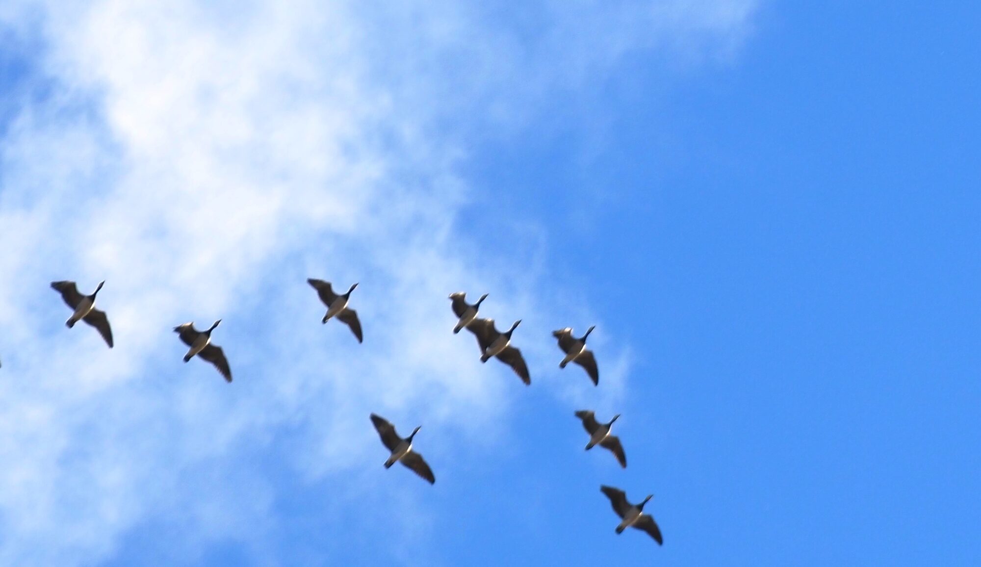 Valokuvaaja: Arja Valtonen