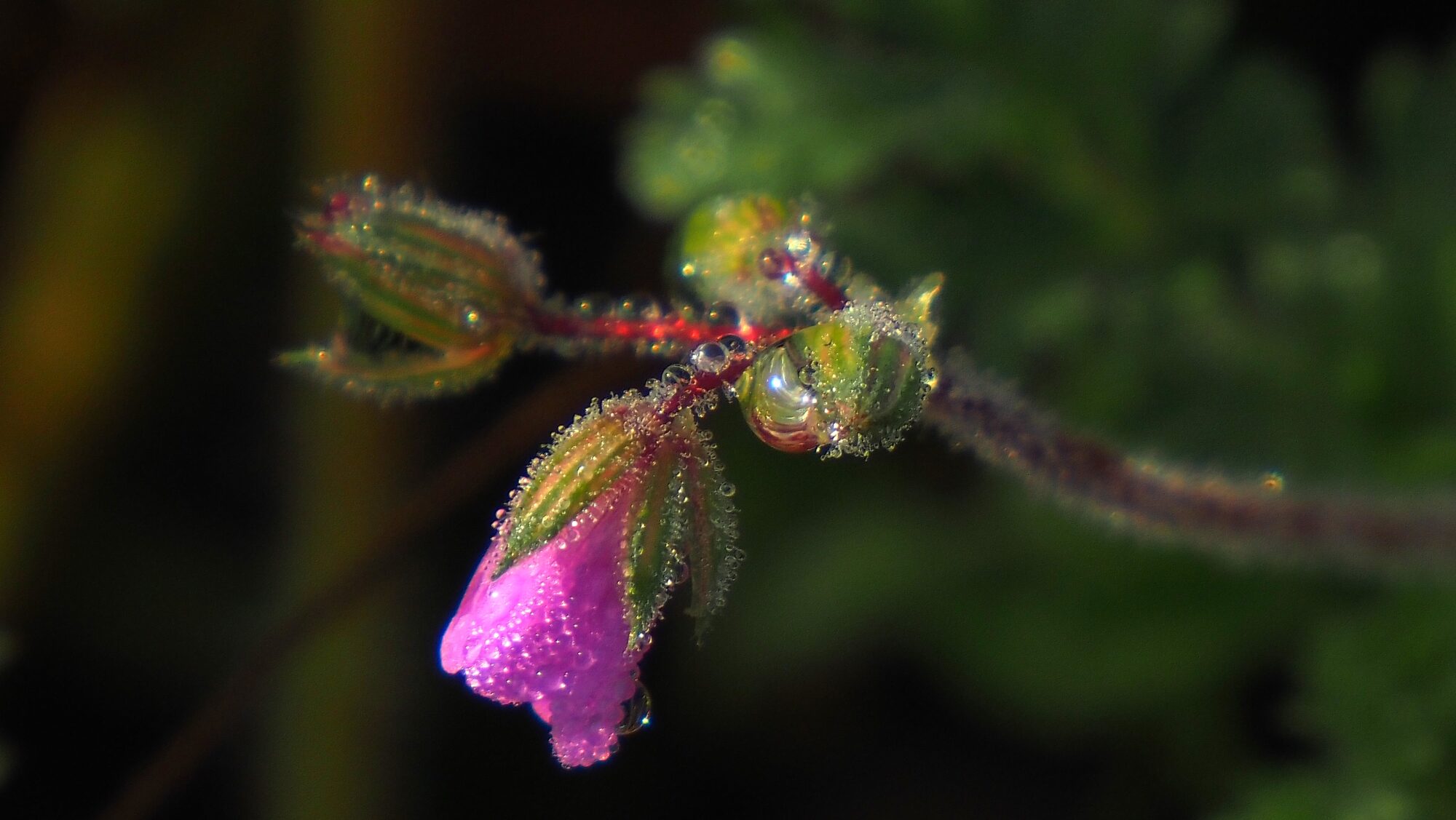 Valokuvaaja: Arja Valtonen