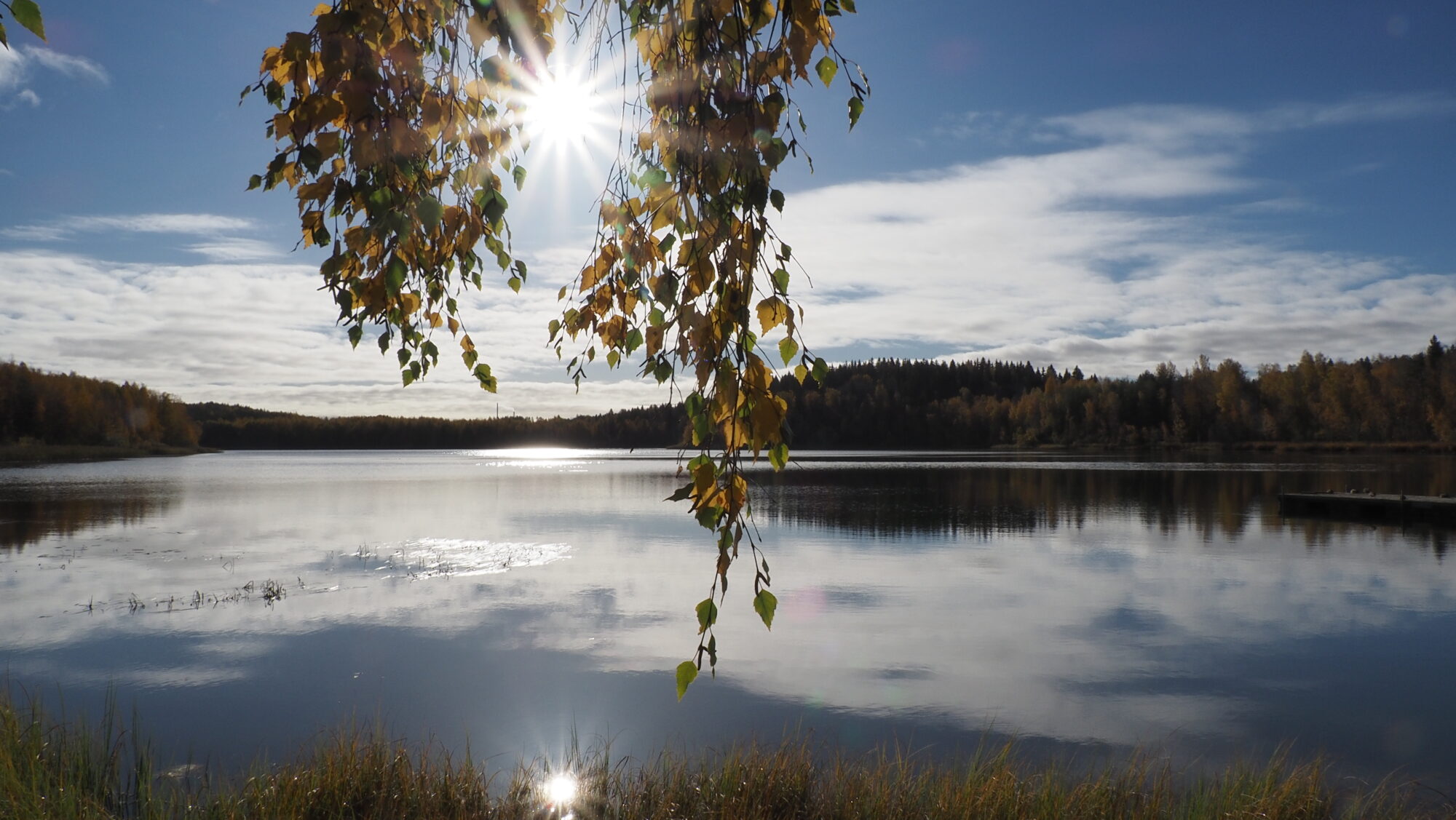 Valokuvaaja: Arja Valtonen