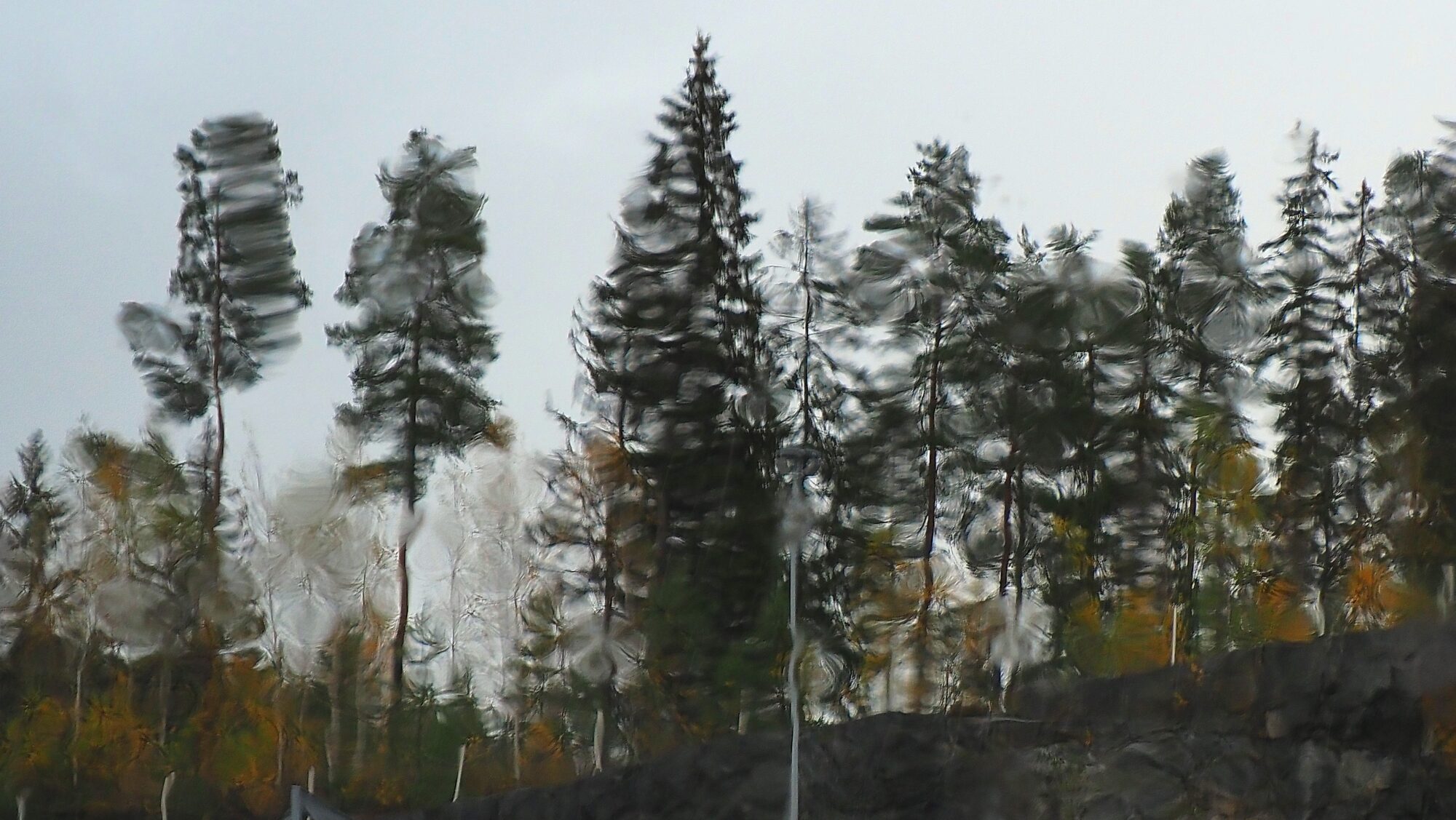 Valokuvaaja: Arja Valtonen