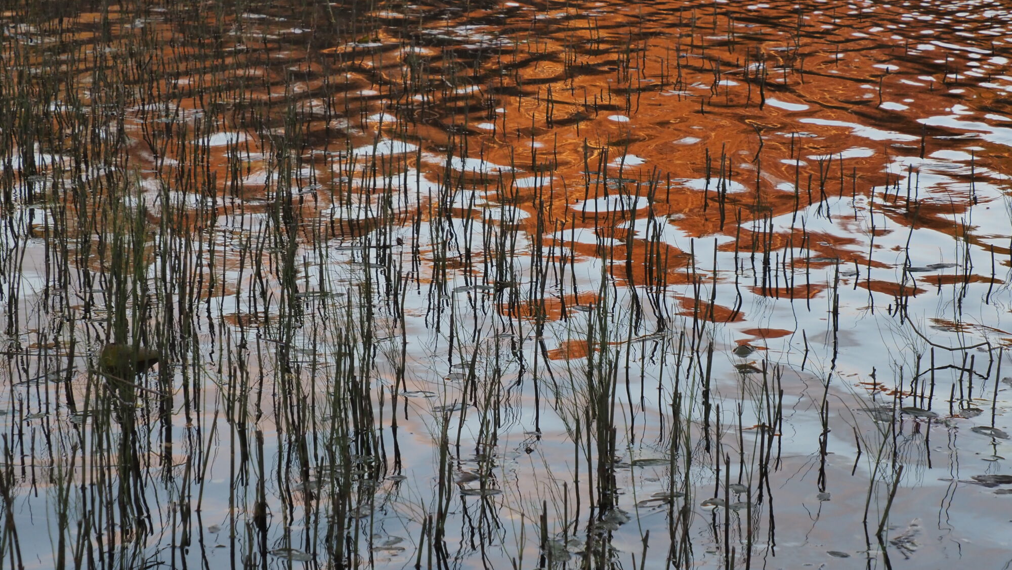 Valokuvaaja: Arja Valtonen