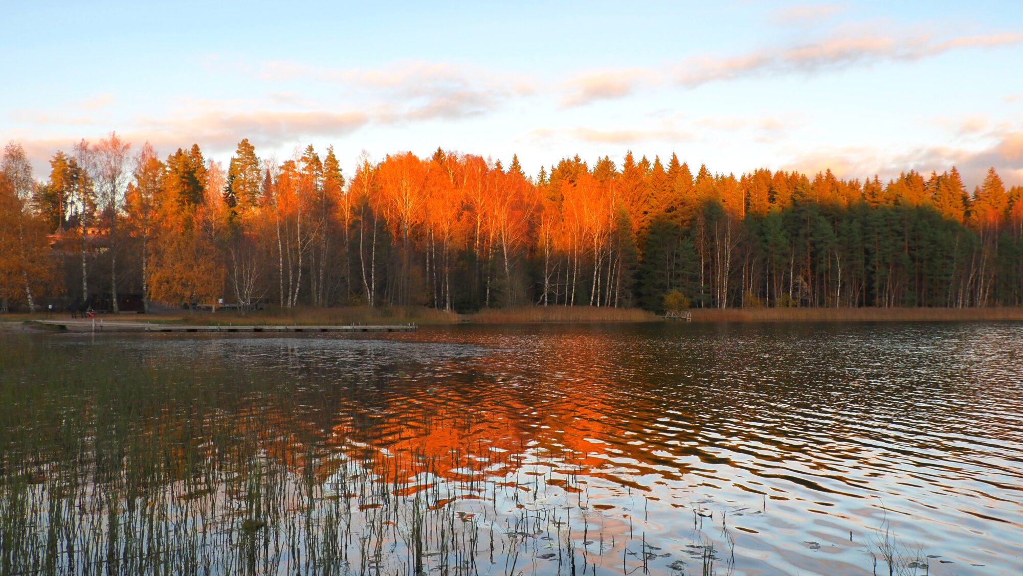 Valokuvaaja: Arja Valtonen