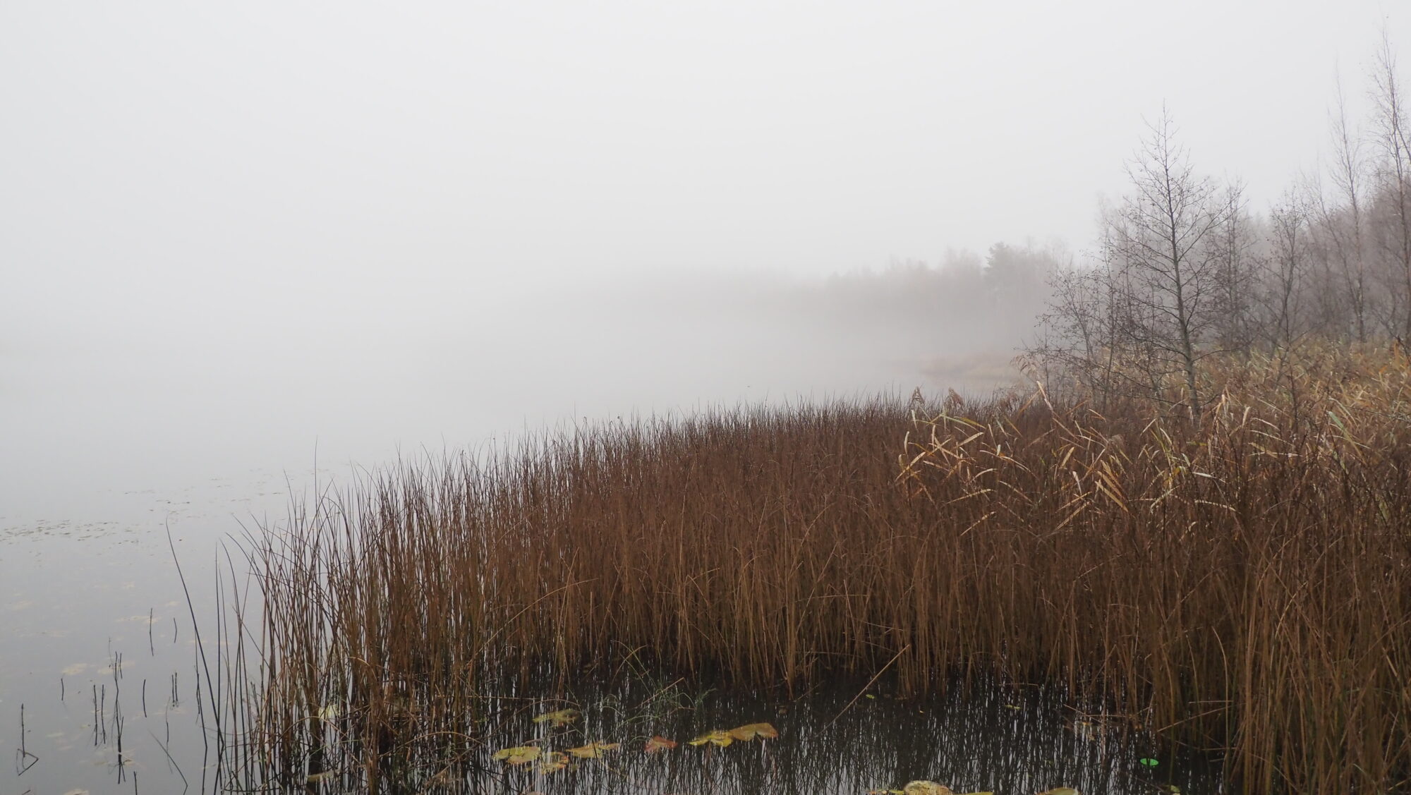 Valokuvaaja: Arja Valtonen