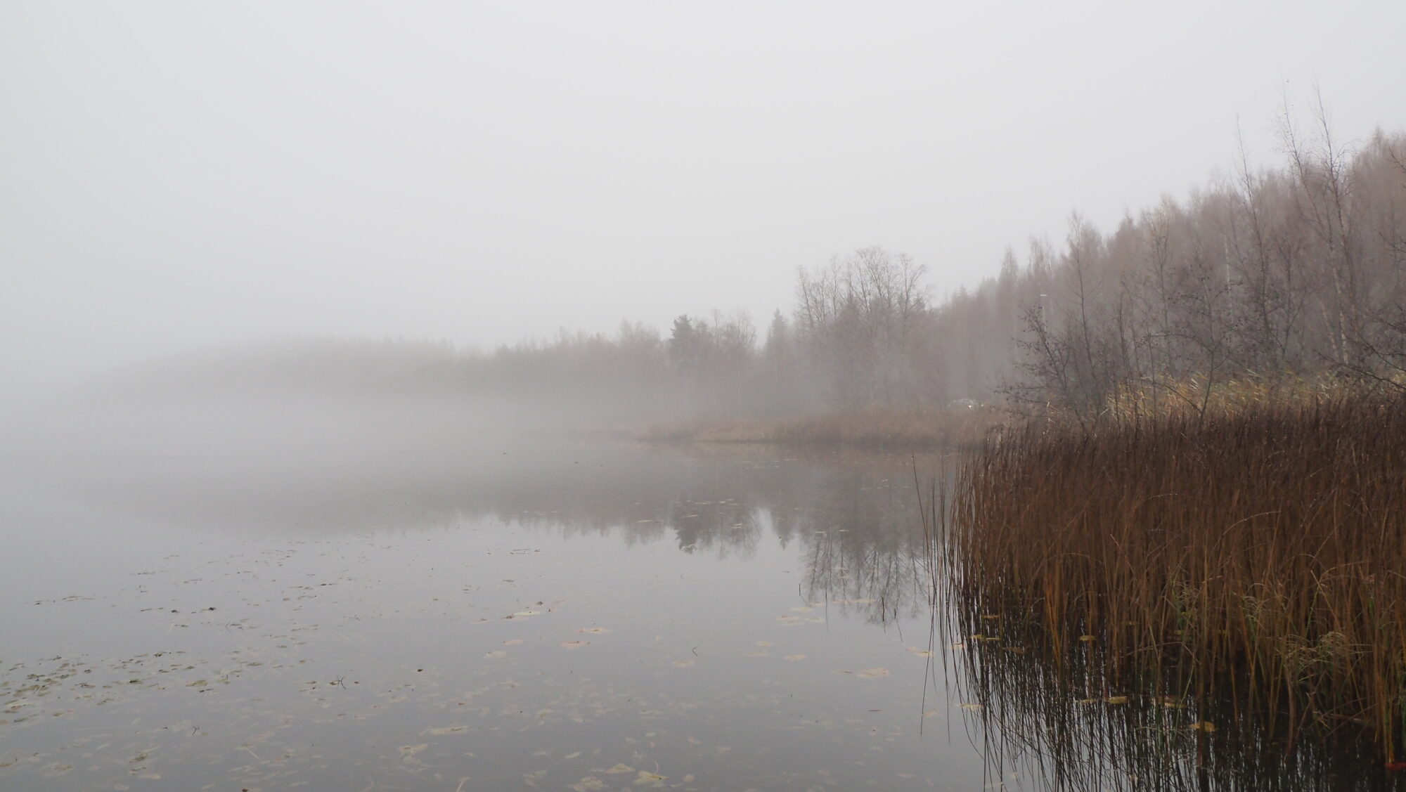 Valokuvaaja: Arja Valtonen
