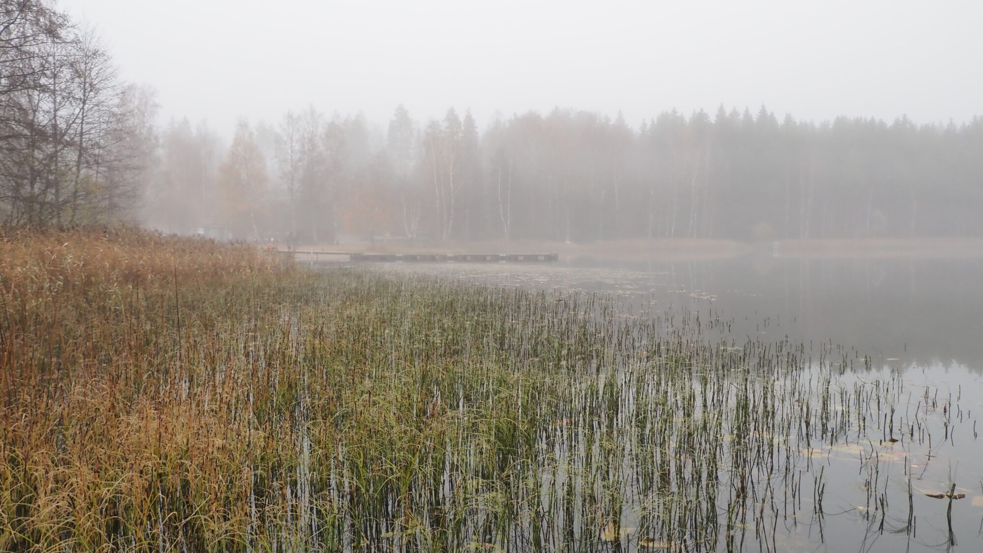 Valokuvaaja: Arja Valtonen