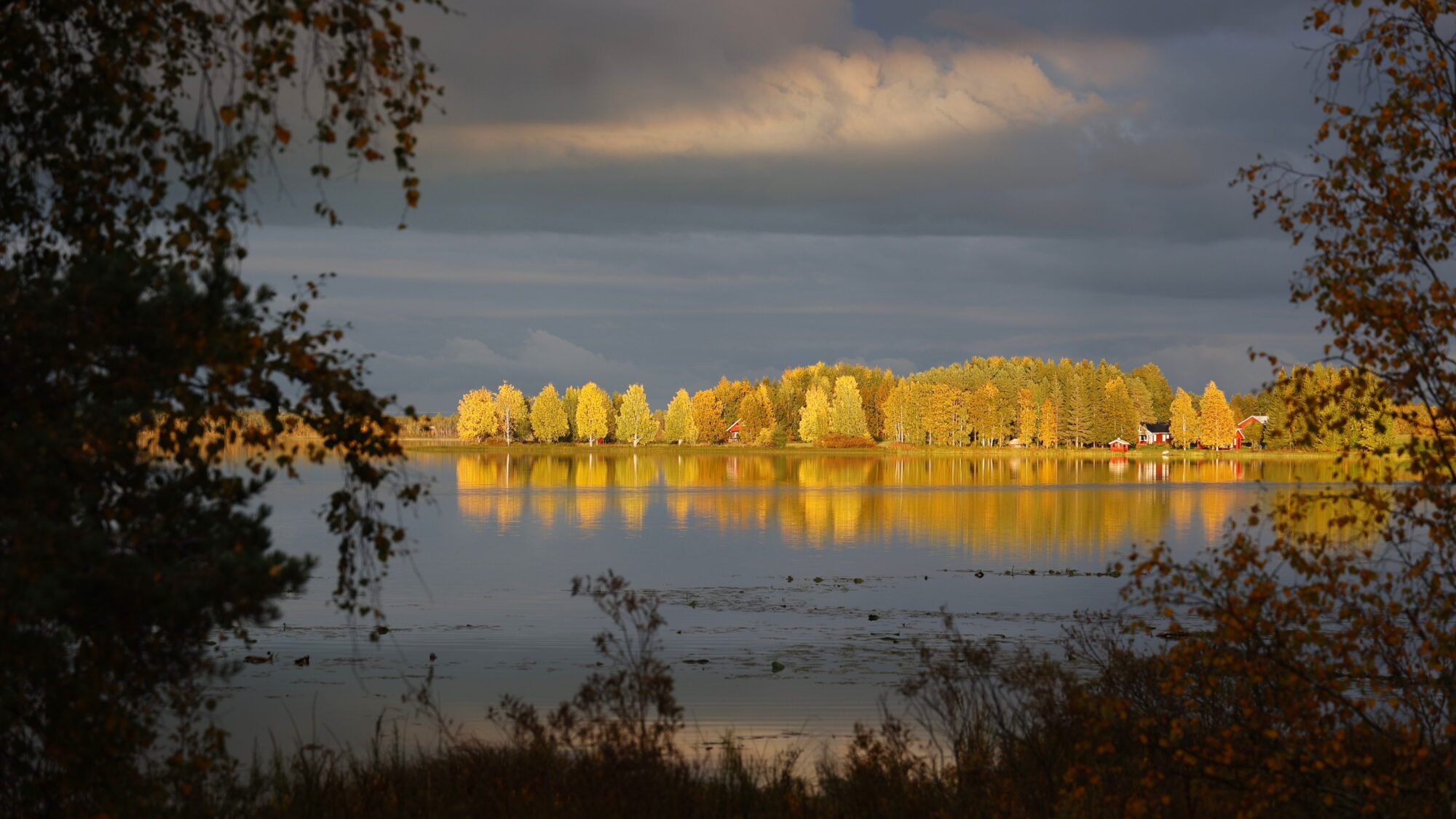 Valokuvaaja: Tommi Kujala Valokuvaaja: Tommi Kujala