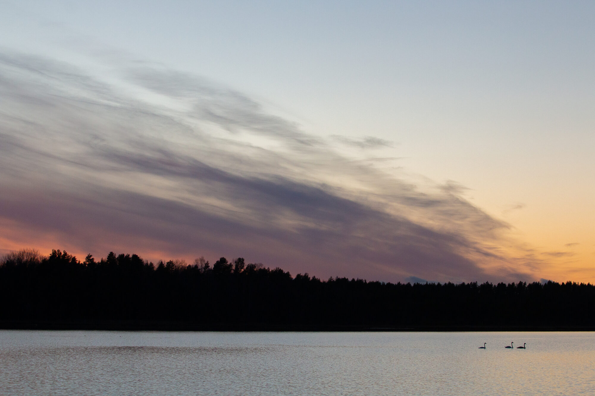Valokuvaaja: Teija Järvenpää Valokuvaaja: Teija Järvenpää