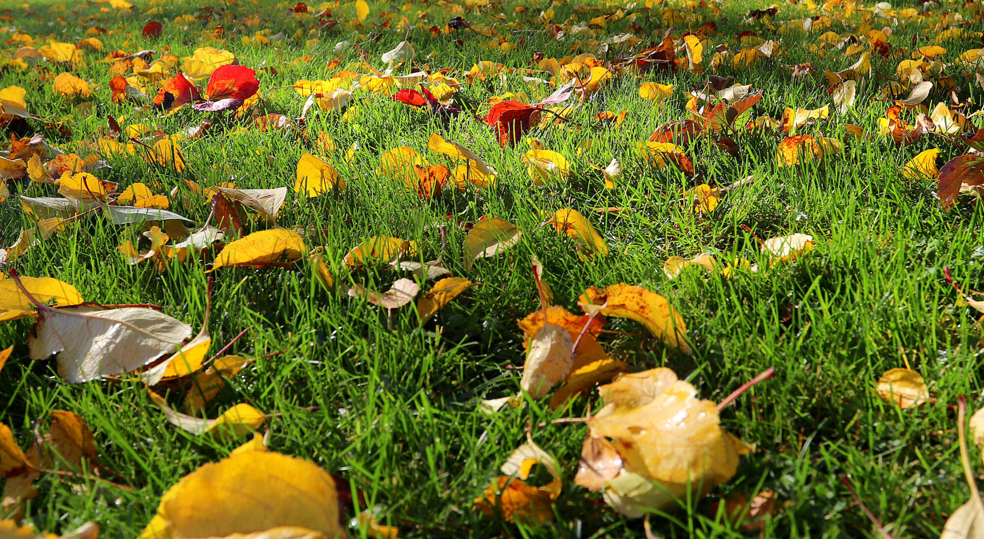 Valokuvaaja: sirpa Jyske