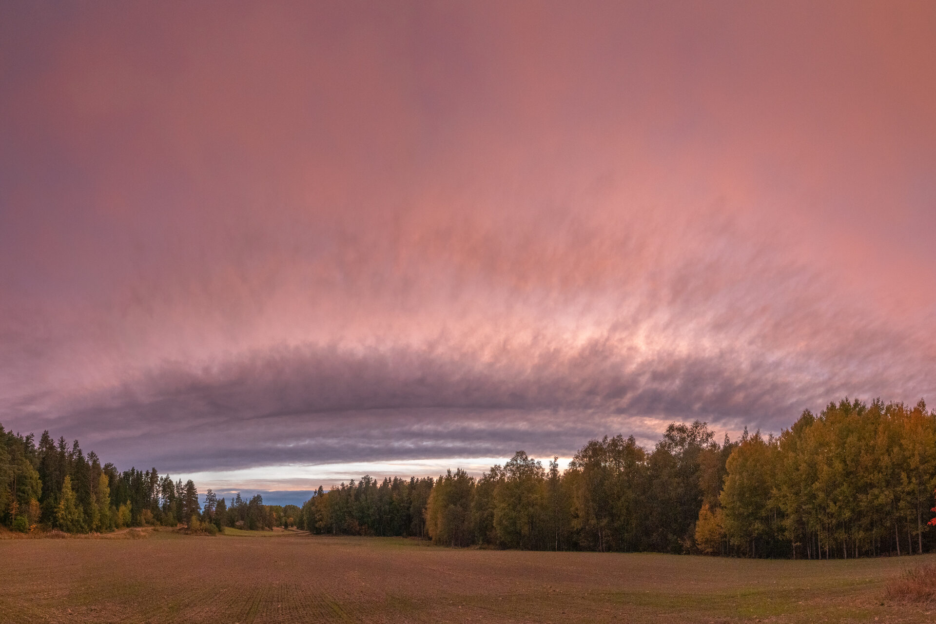 Valokuvaaja: Ari Kaarakainen Valokuvaaja: Ari Kaarakainen