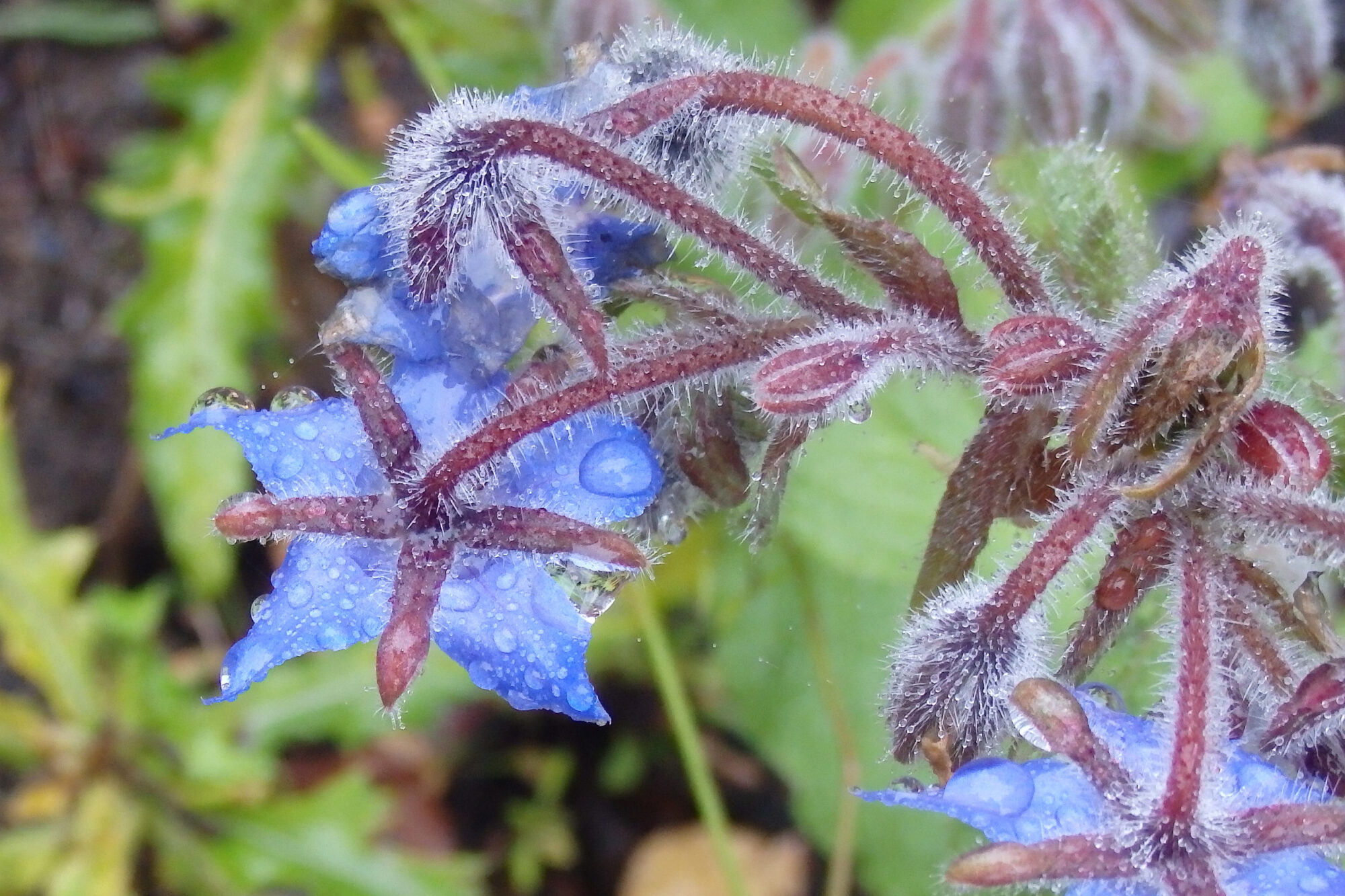 Valokuvaaja: Antti Kaskinen