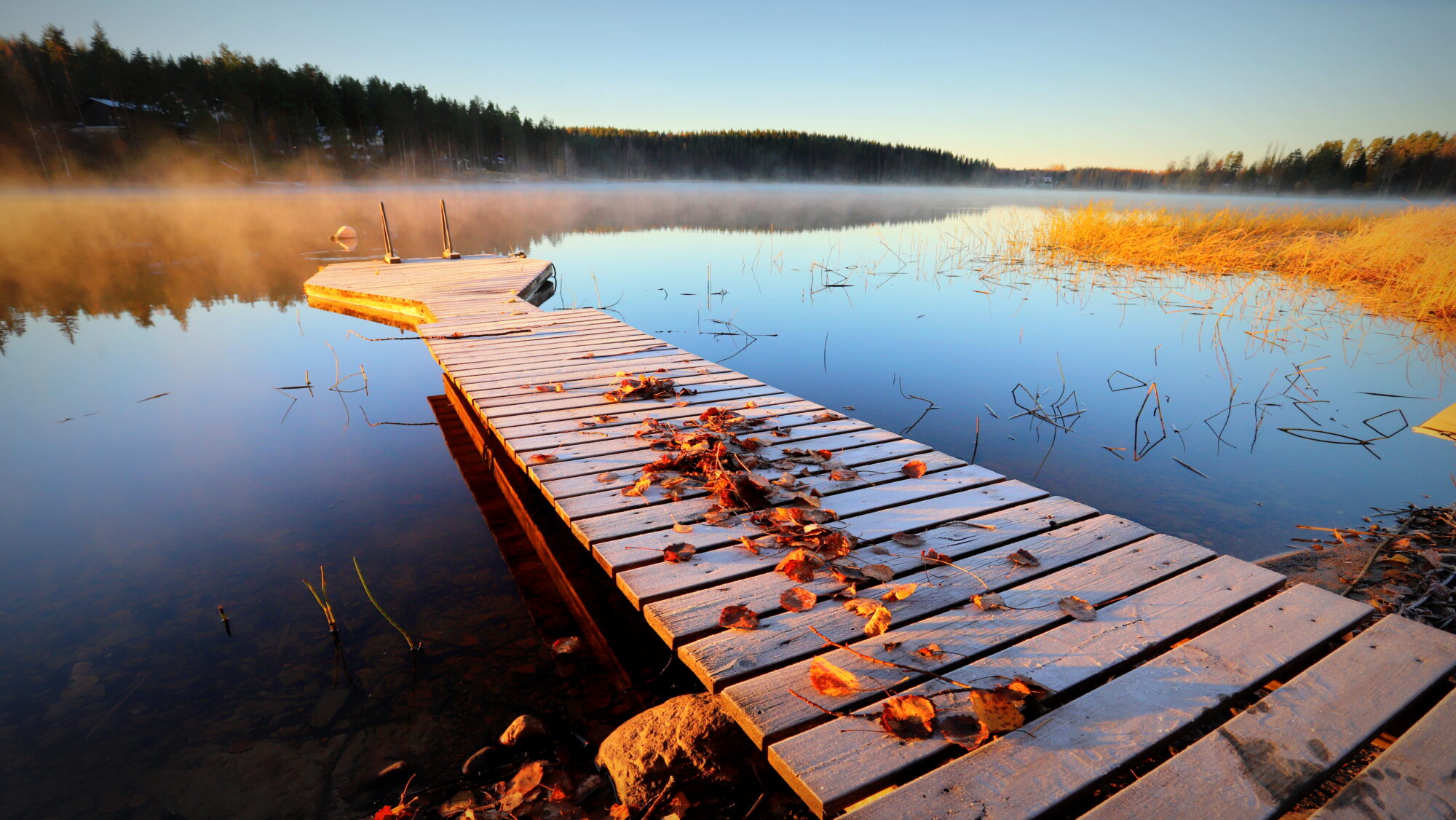Valokuvaaja: sirpa Jyske Valokuvaaja: sirpa Jyske