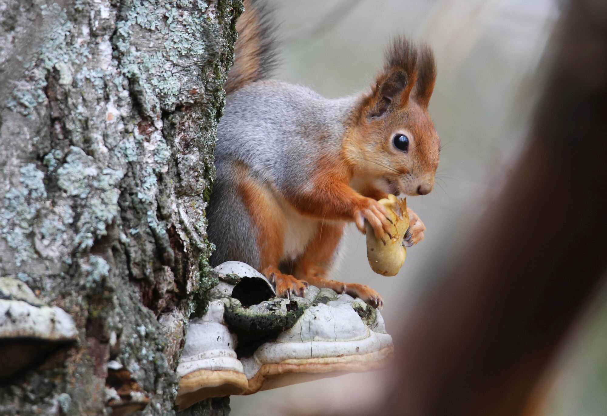 Valokuvaaja: Jaana Saarelainen
