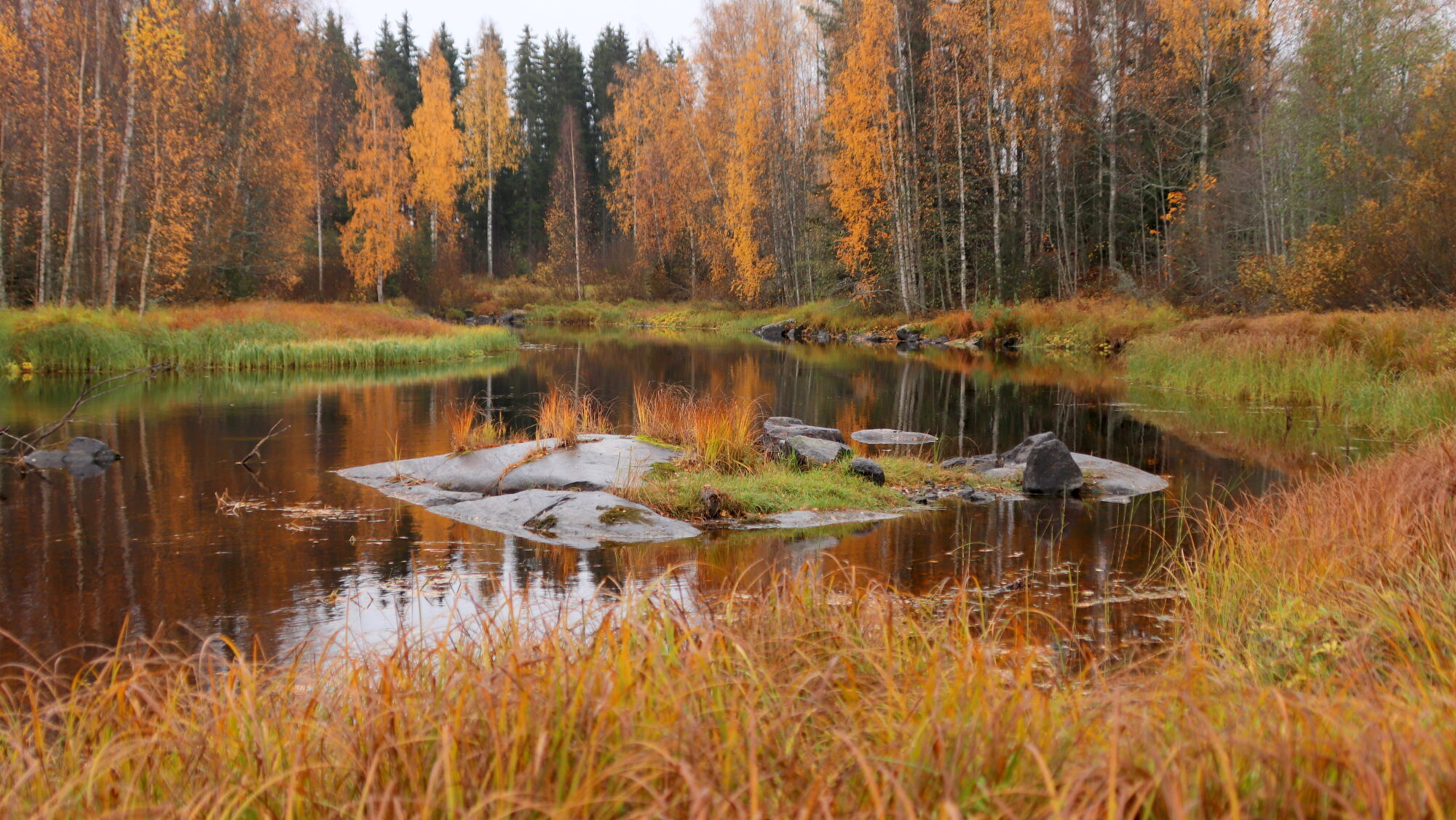 Vielä löytyy väriäkin