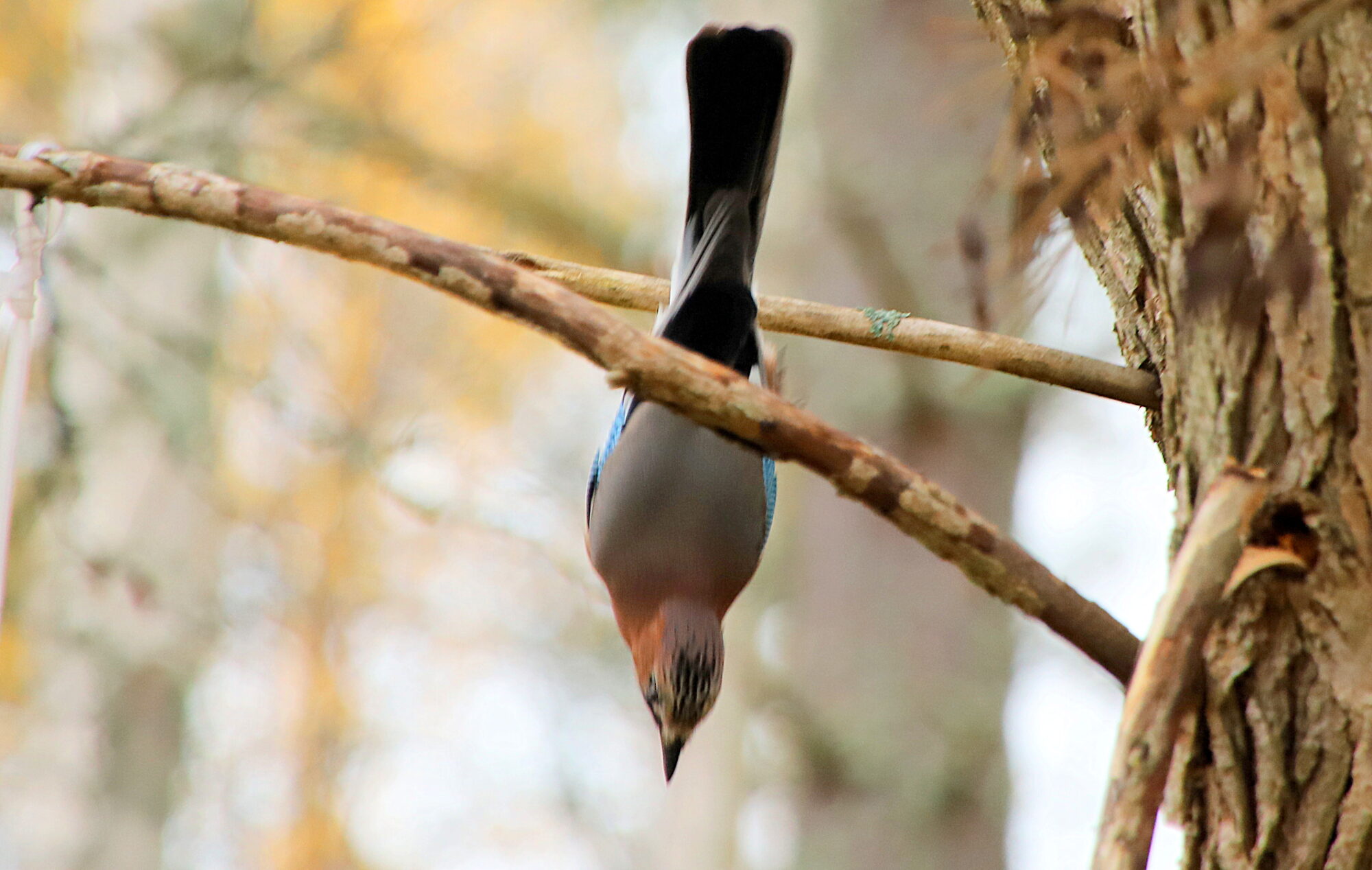 Valokuvaaja: sirpa Jyske