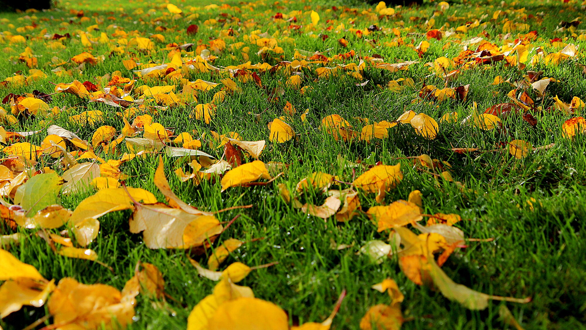 Valokuvaaja: sirpa Jyske
