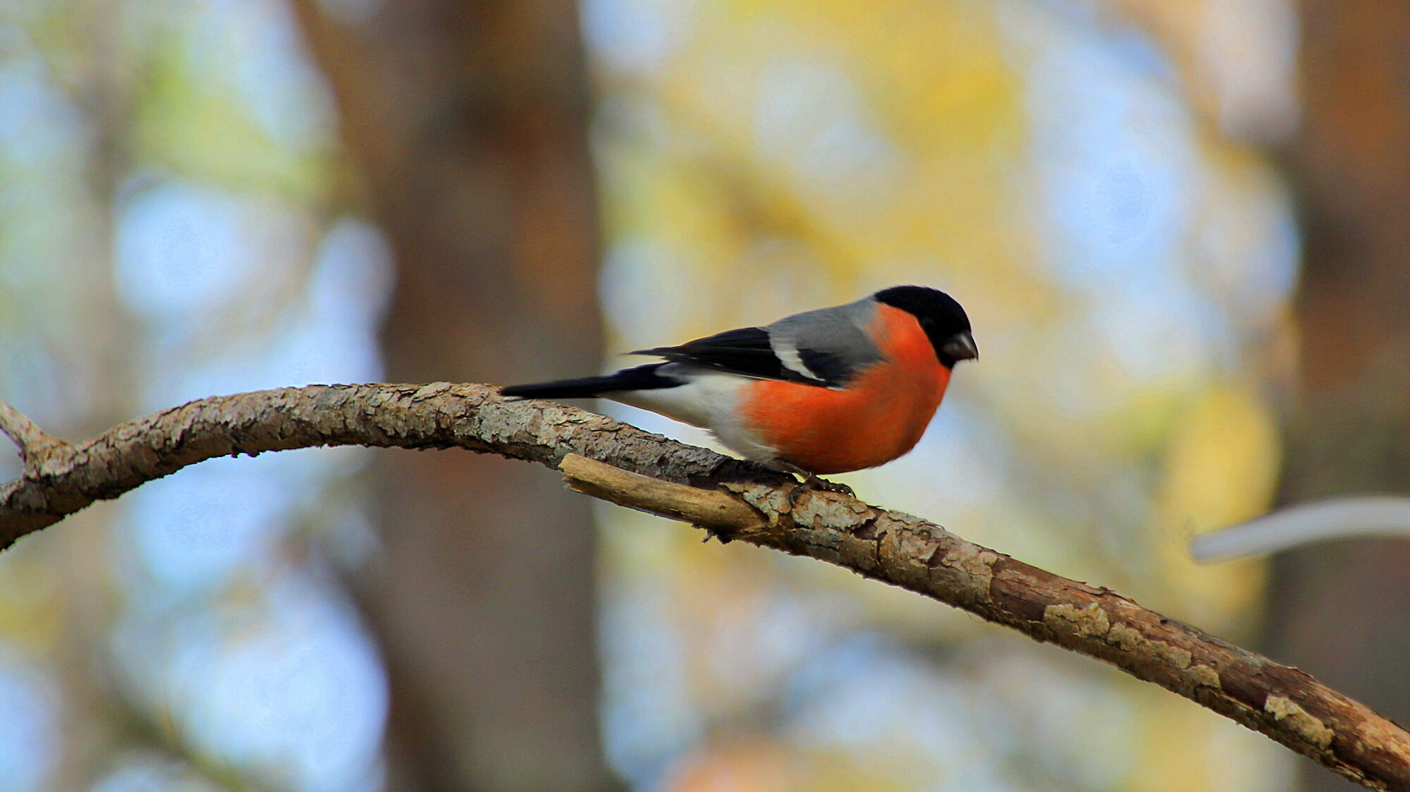 Valokuvaaja: sirpa Jyske