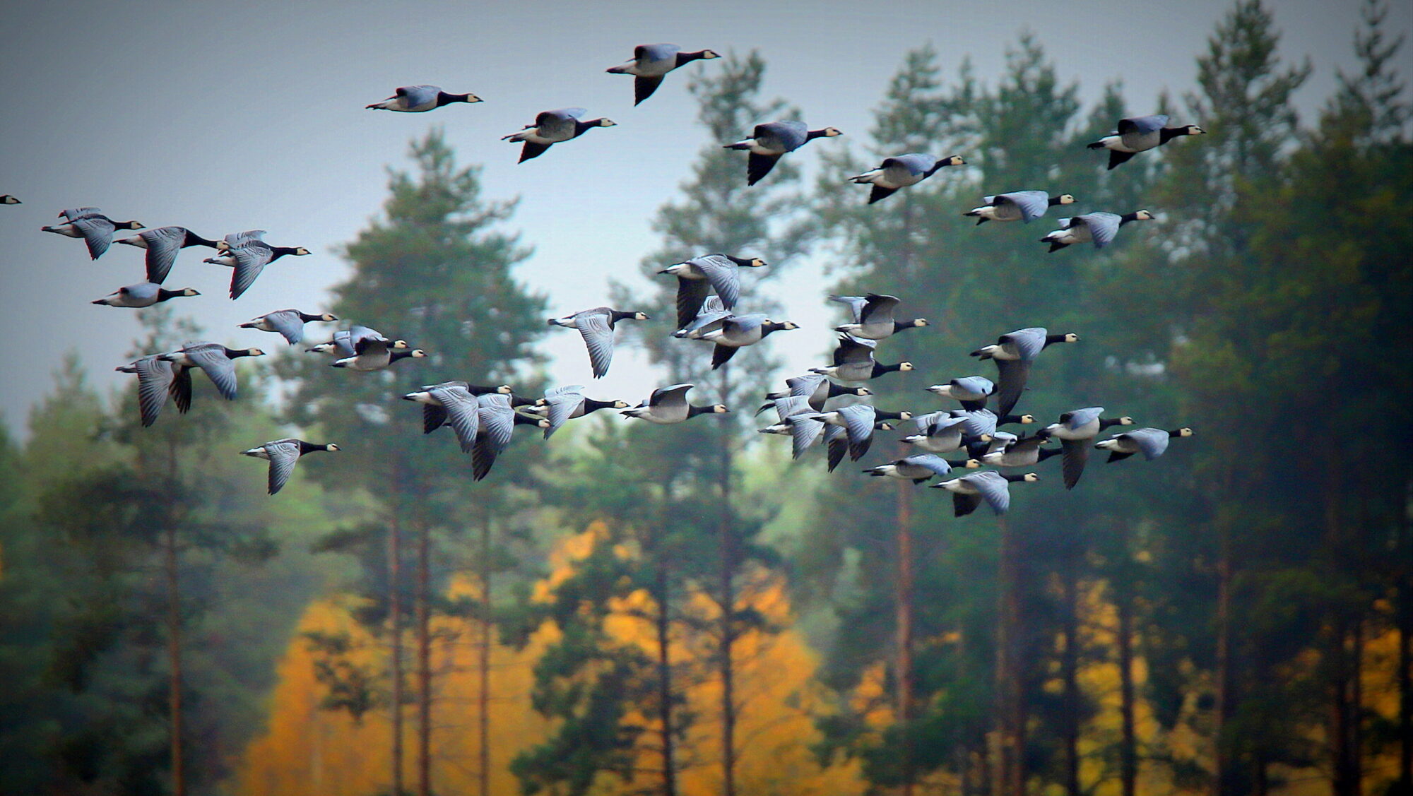Valokuvaaja: sirpa Jyske