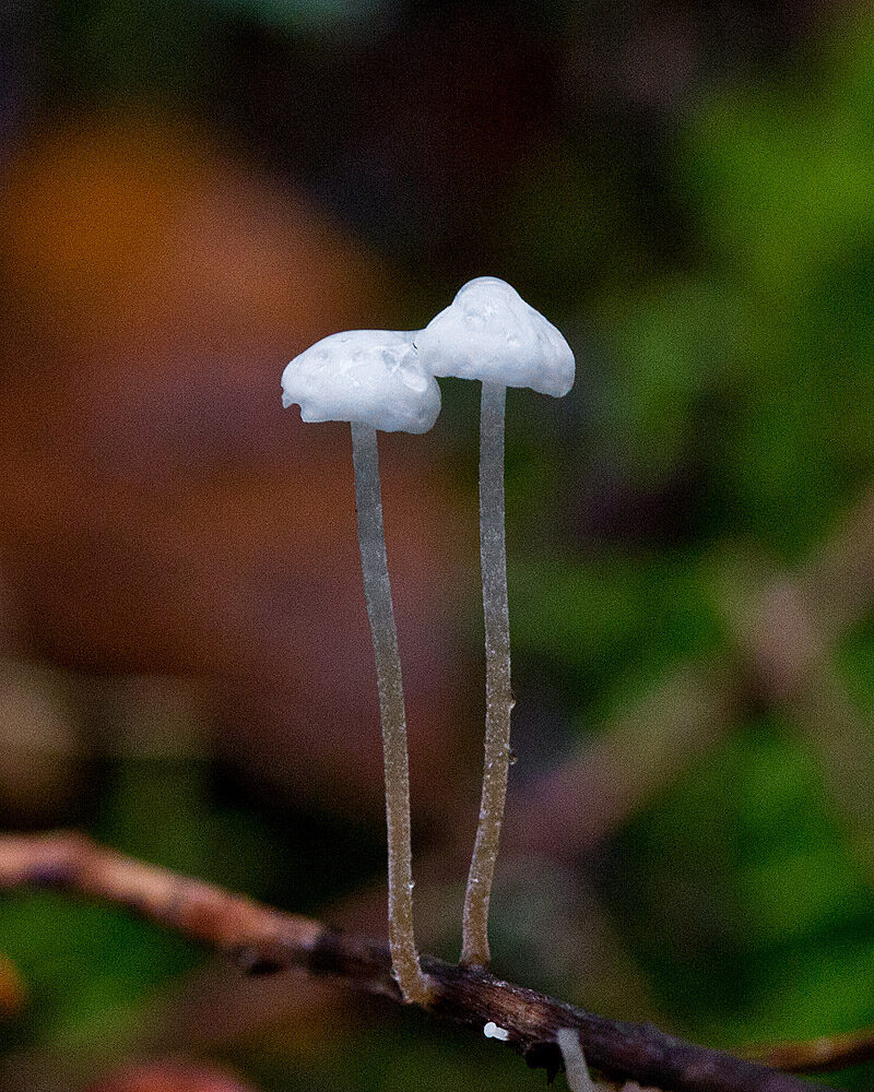 Valokuvaaja: Aarre Leskinen