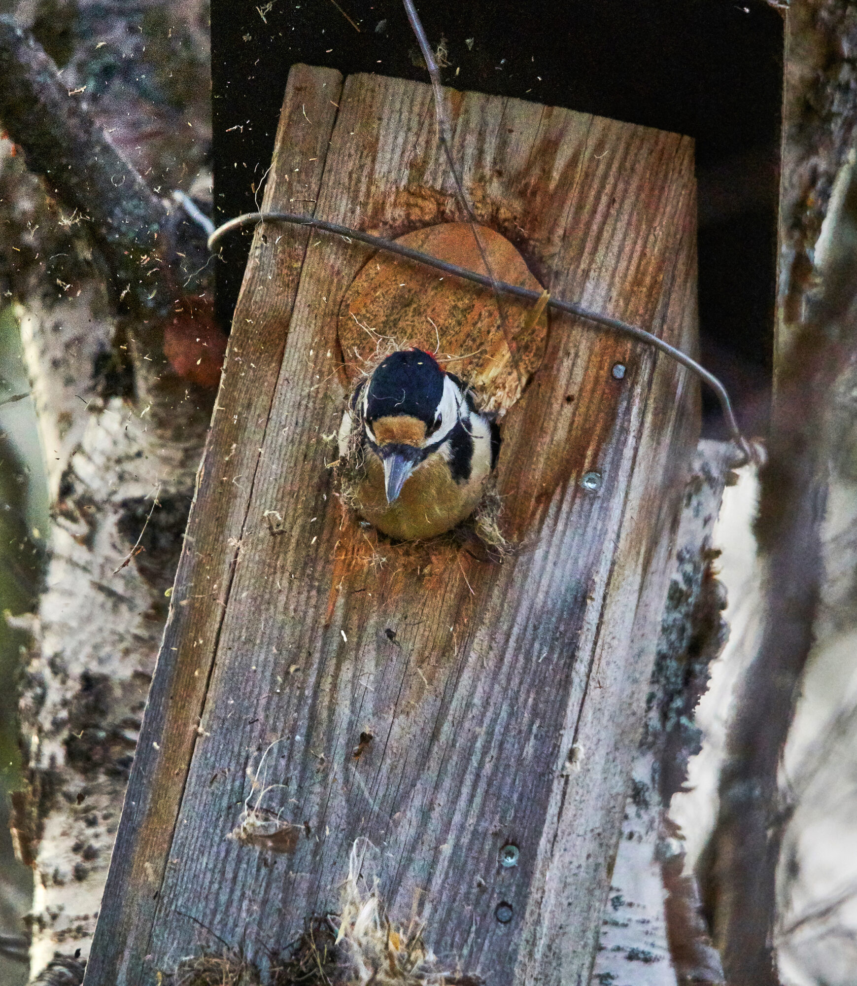 Valokuvaaja: Tarja Kouvo Valokuvaaja: Tarja Kouvo