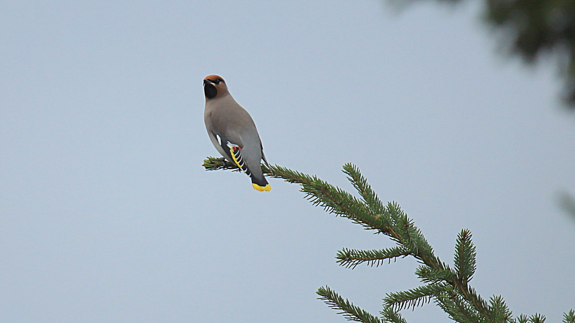 Valokuvaaja: sirpa Jyske