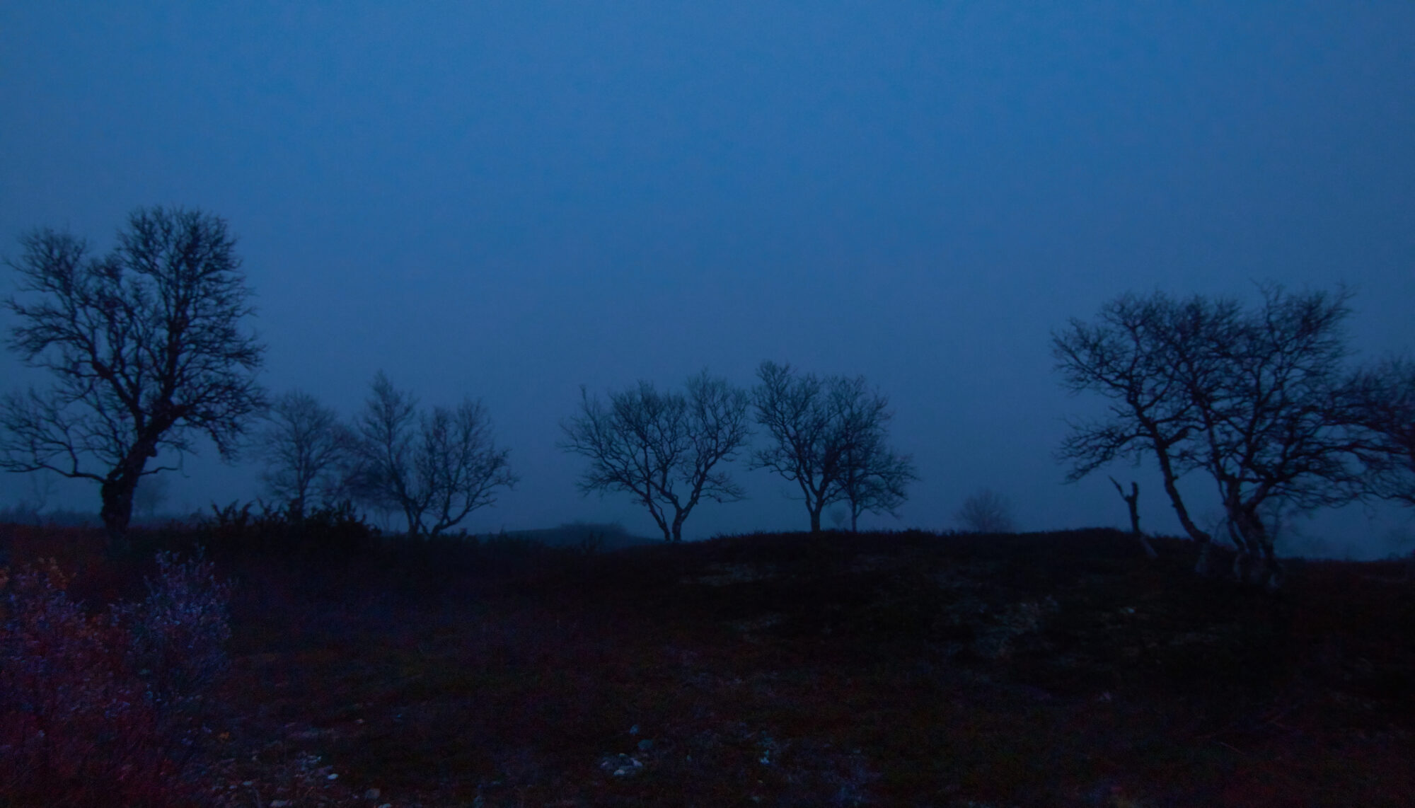 Valokuvaaja: Tarja Kouvo