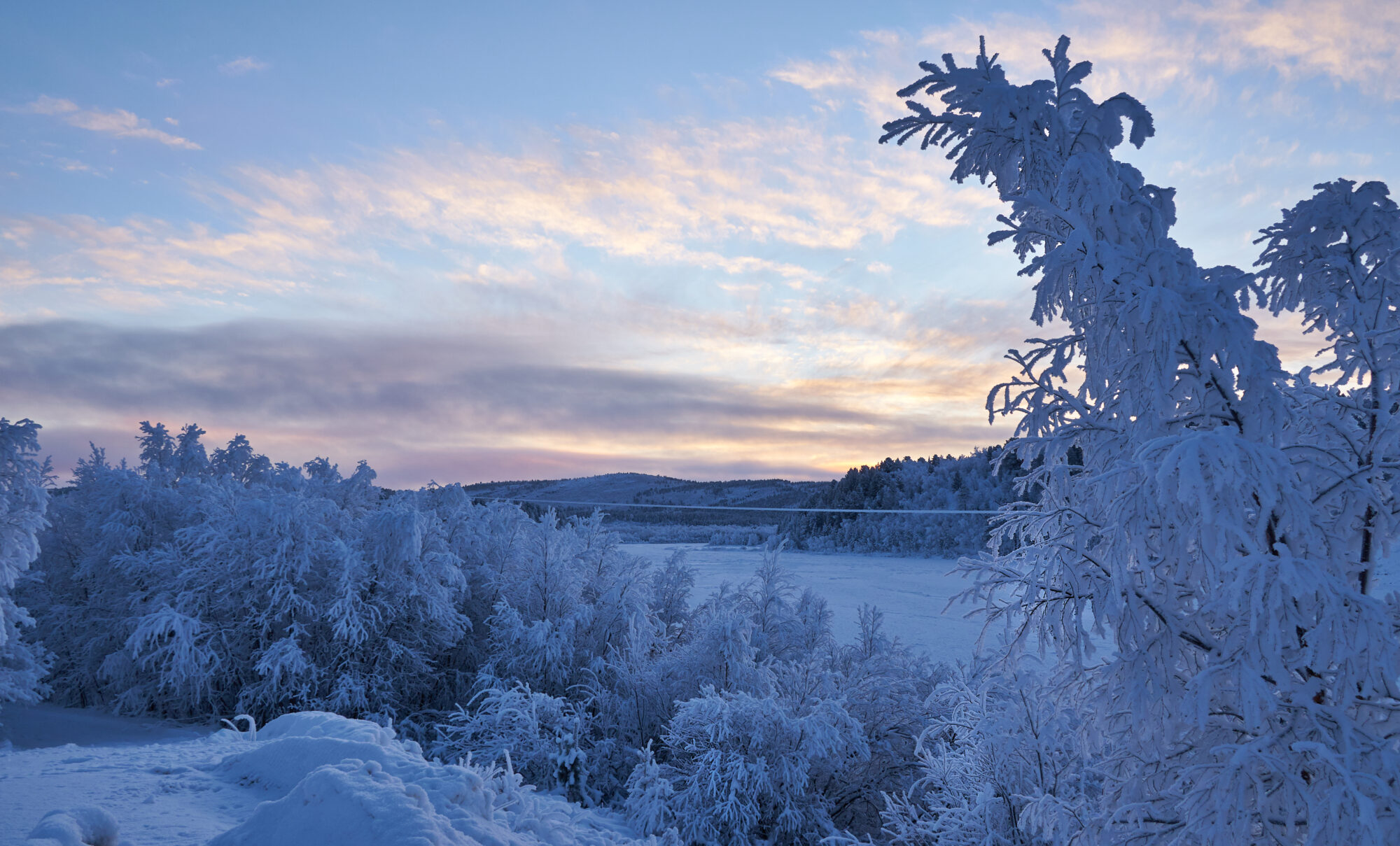 Valokuvaaja: Tarja Kouvo