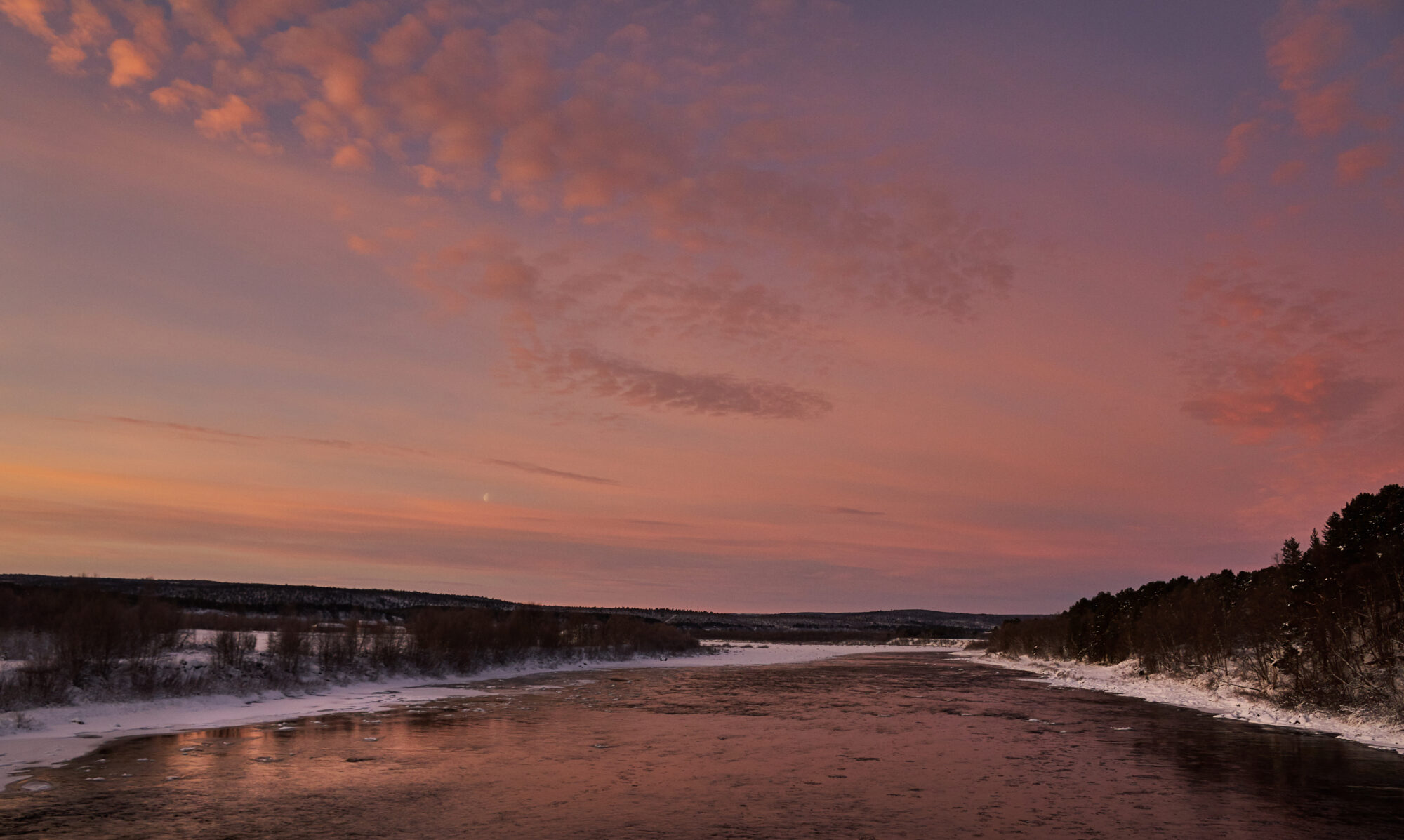 Valokuvaaja: Tarja Kouvo