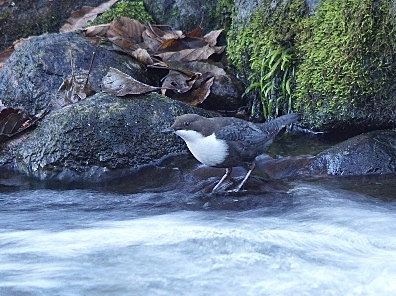 Valokuvaaja: Markku Ranta-Eilola