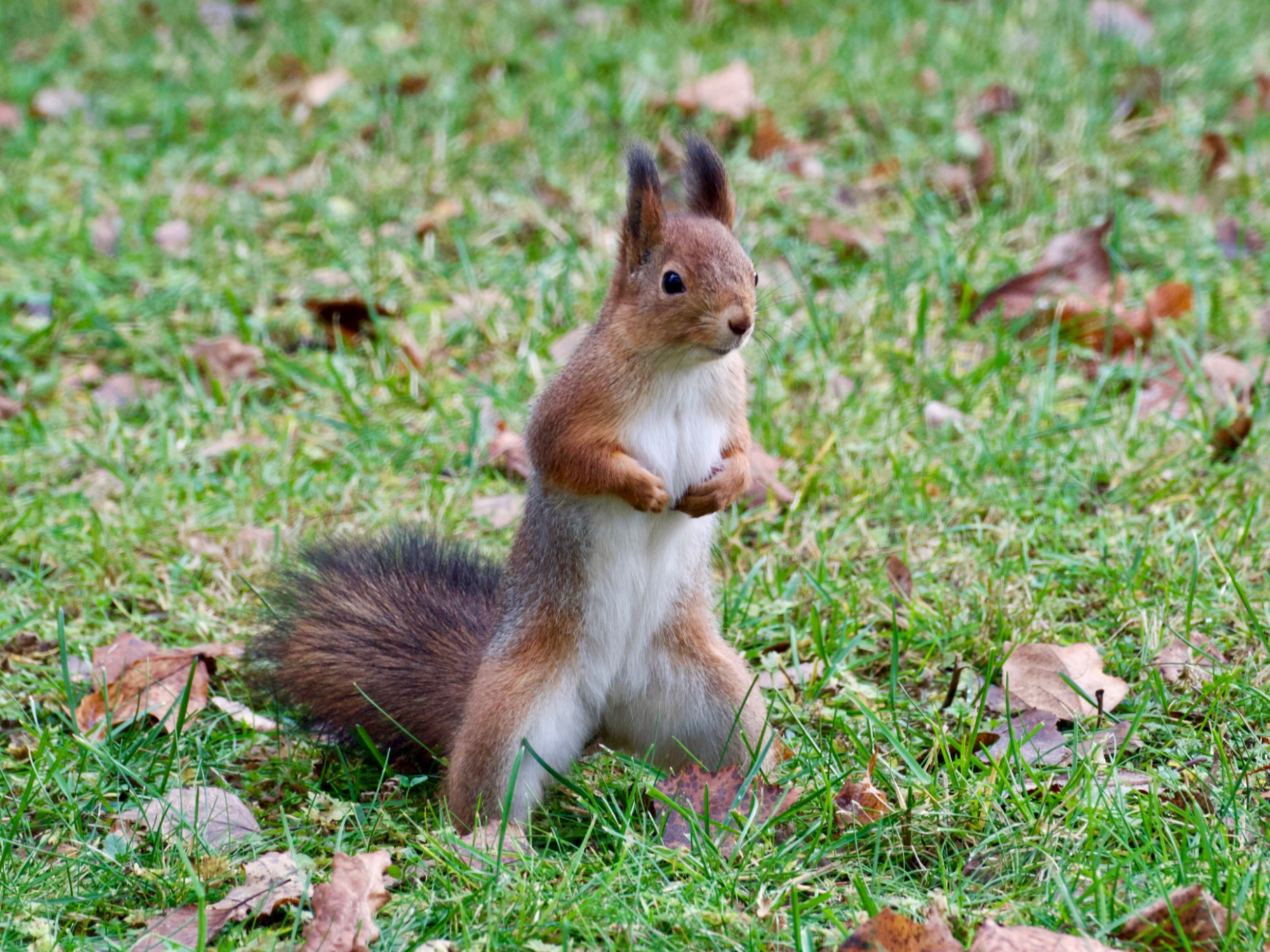 Valokuvaaja: Juha Naukkarinen Valokuvaaja: Juha Naukkarinen