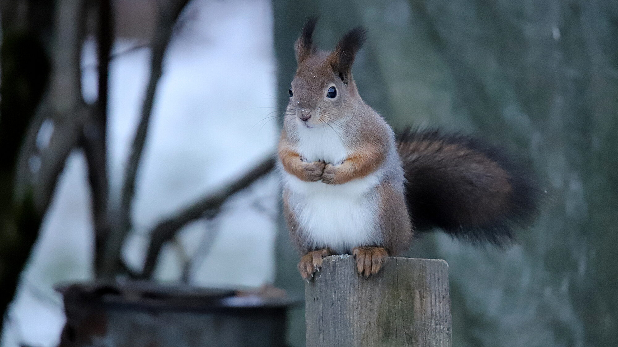 Valokuvaaja: sirpa Jyske Valokuvaaja: sirpa Jyske